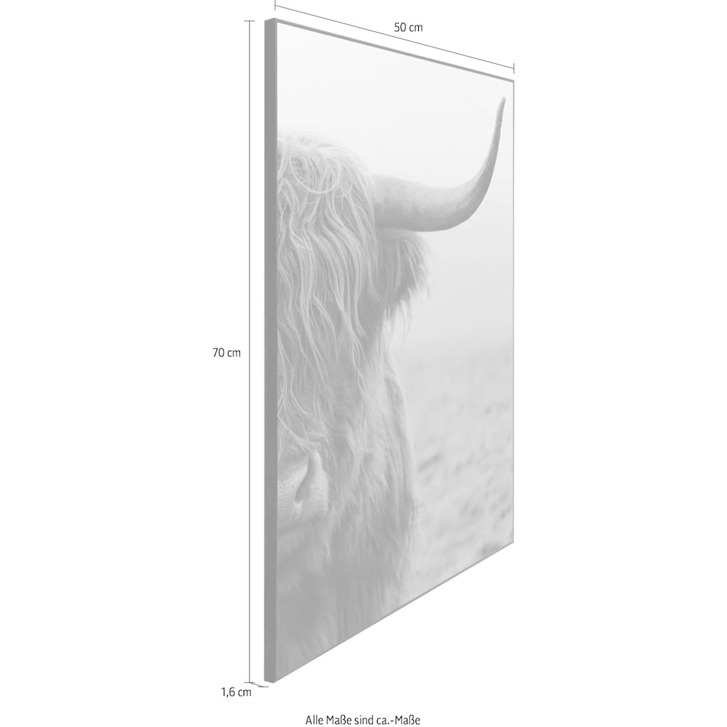 Reinders! Wandbild »Slim Frame Black 50x70 Highlander«