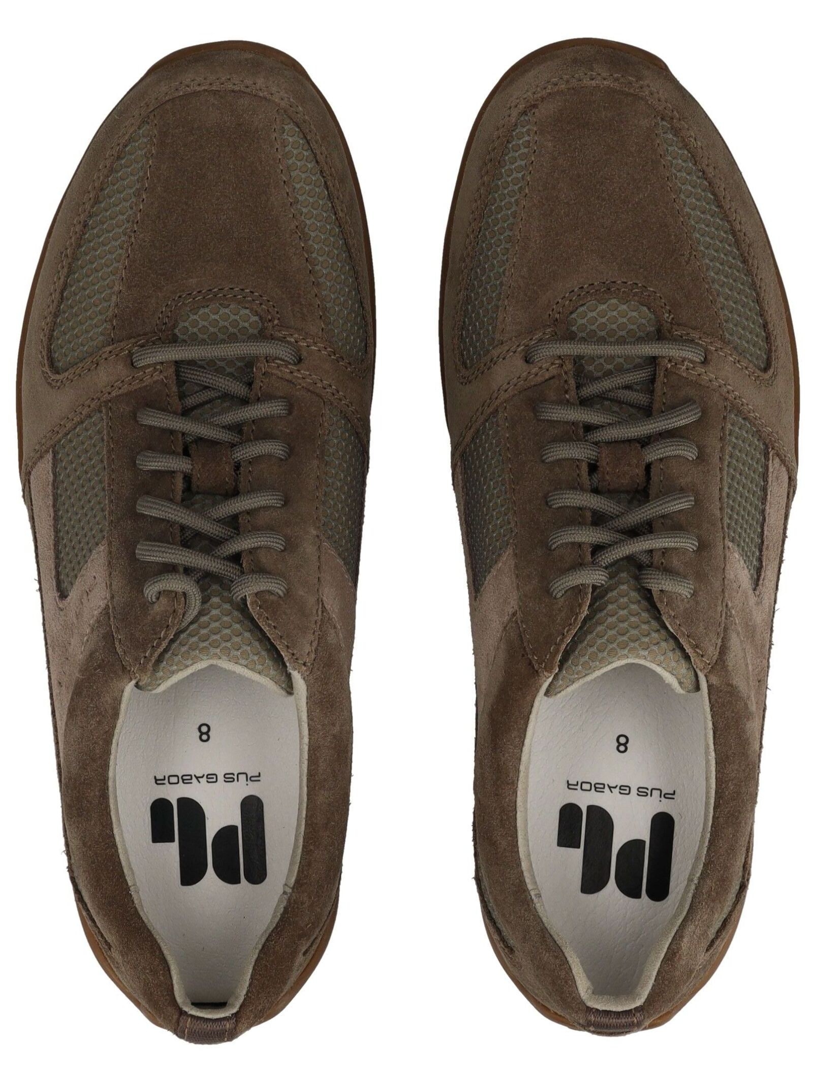 Pius Gabor Sneaker »Pius Gabor Sneaker Veloursleder/Mesh«