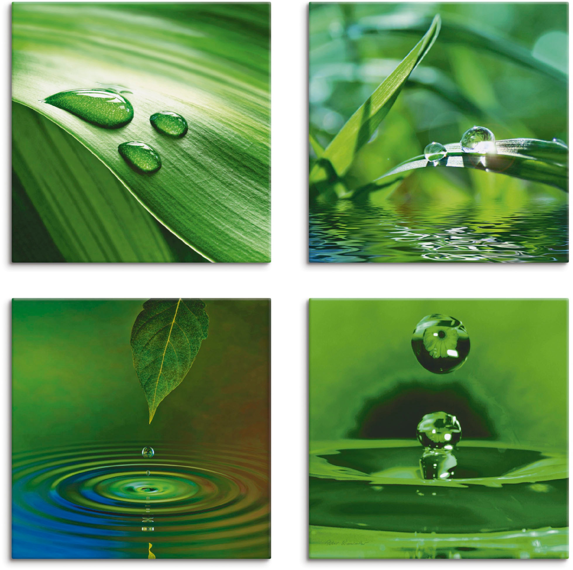 Artland Leinwandbild "Blatt Gras Wassertropfen" Zen 4 Stk. tlg. 4er Set, ve günstig online kaufen