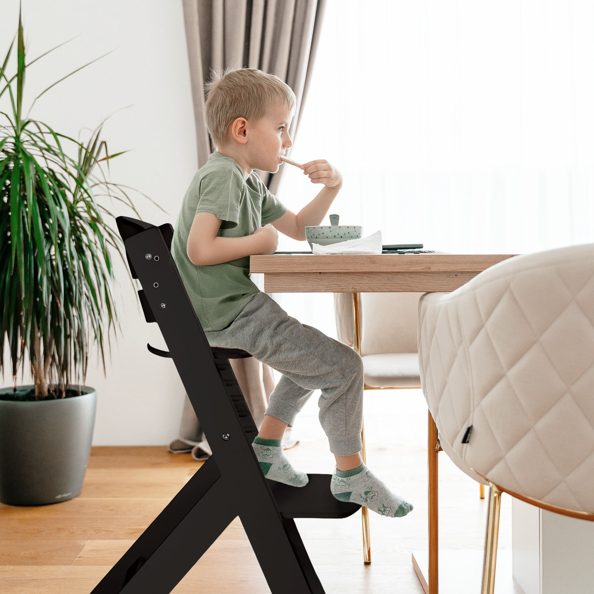BabyGo Hochstuhl »Family Pro« ()