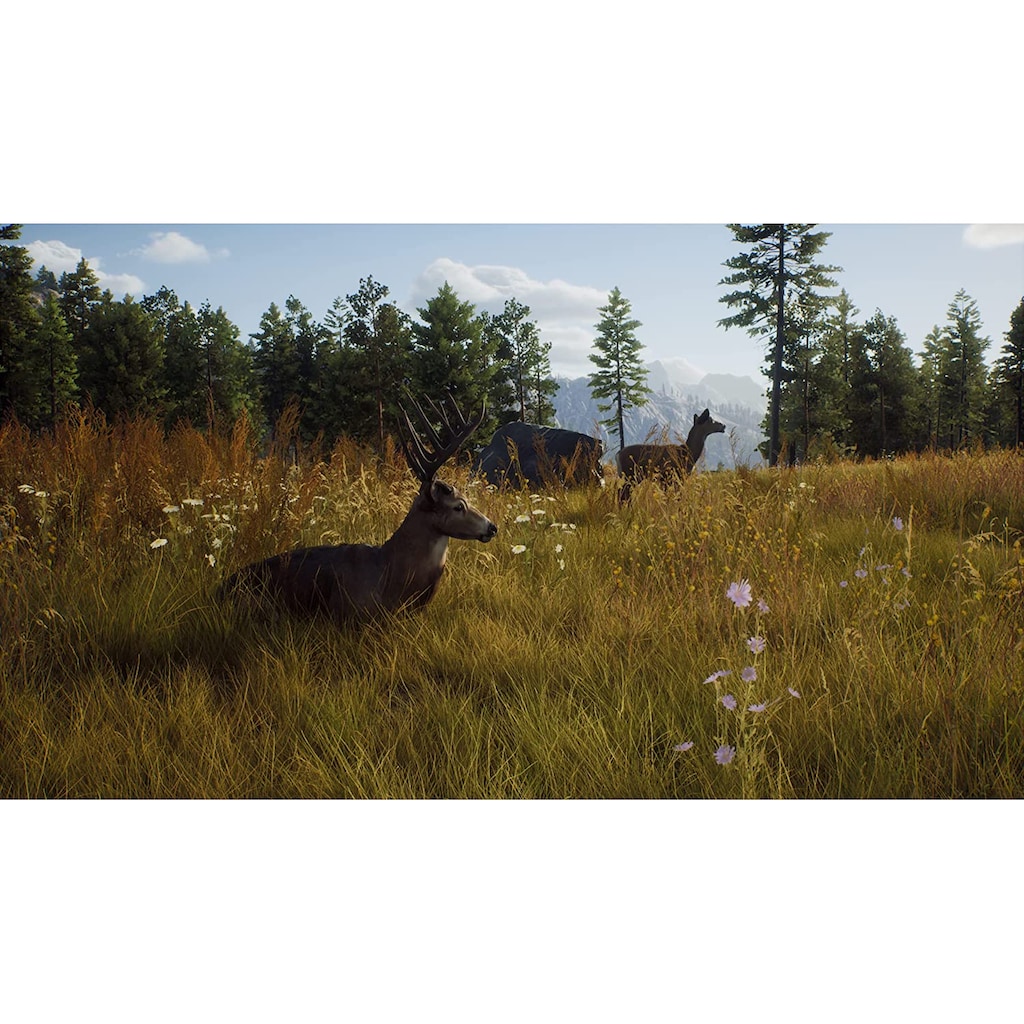 THQ Nordic Spielesoftware »Way of the Hunter«, PlayStation 5