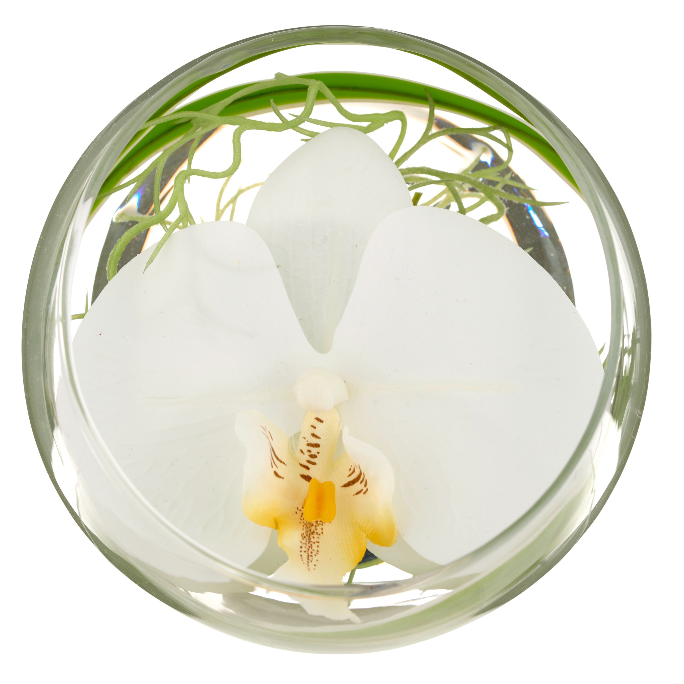 Creativ green Kunstblume "Glasgefäß mit Orchideenblüte", als elegantes Arra günstig online kaufen