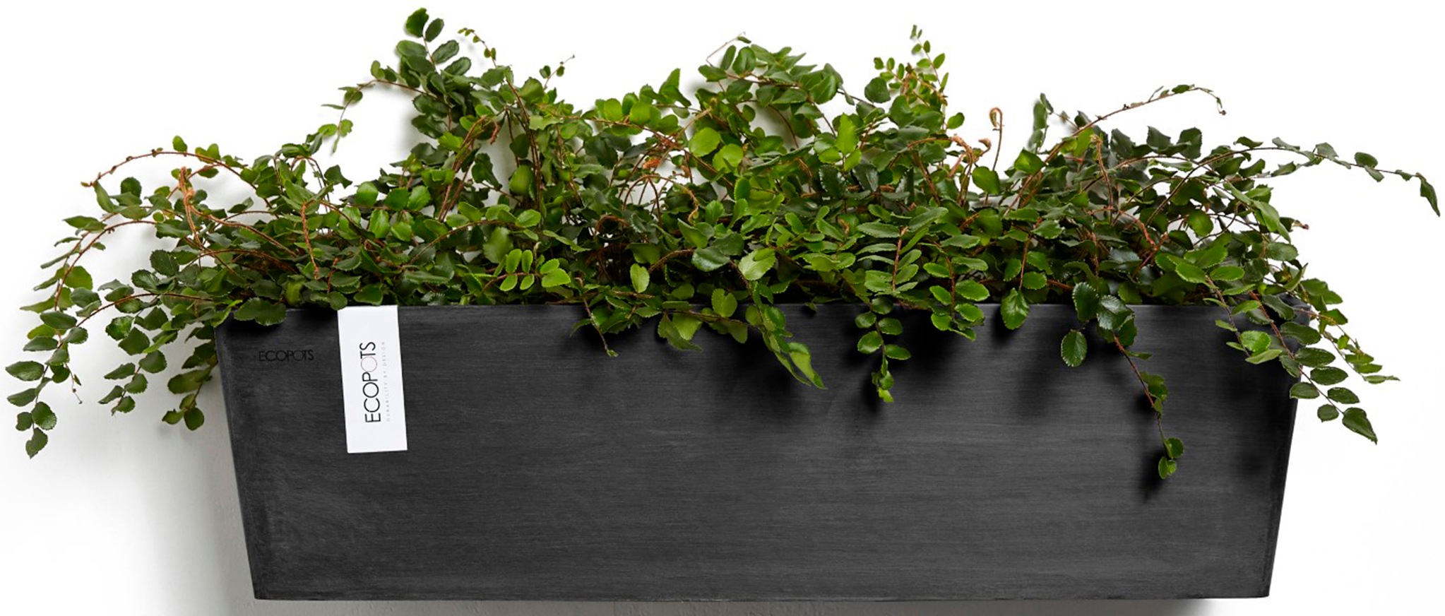 ECOPOTS Blumentopf »Manhattan Wall 55 Dunkelgrau«, für innen und außen: frostsicher, bruchsicher und lichtbeständig