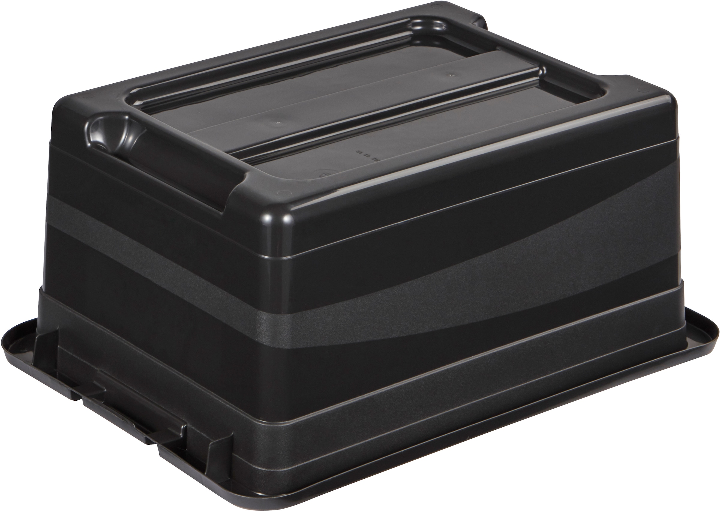 keeeper Transportbehälter »eckhart, 5er Set Transporbox, 12 L, 39,5 x 29,5 x 17,5 cm« 29,5 cm breit 17,5 cm hoch 39,5 cm lang Set, 5 Stk. tlg. seitl. Clips, Griffe am Boden, stoßfeste Seitenwände, robuster Deckel