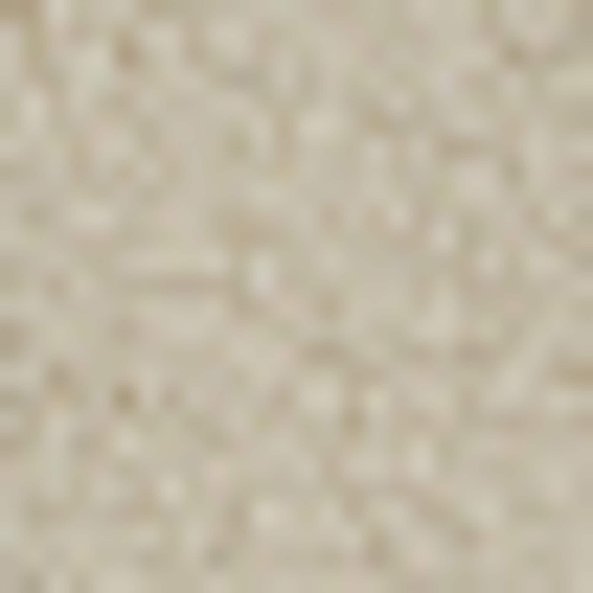 BOSS ORANGE Blouson »Ze cozysolid«