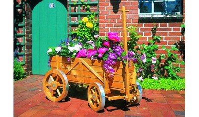 promadino Pflanzenroller »Blumenwagen«, BxTxH: 49x104x51 cm kaufen