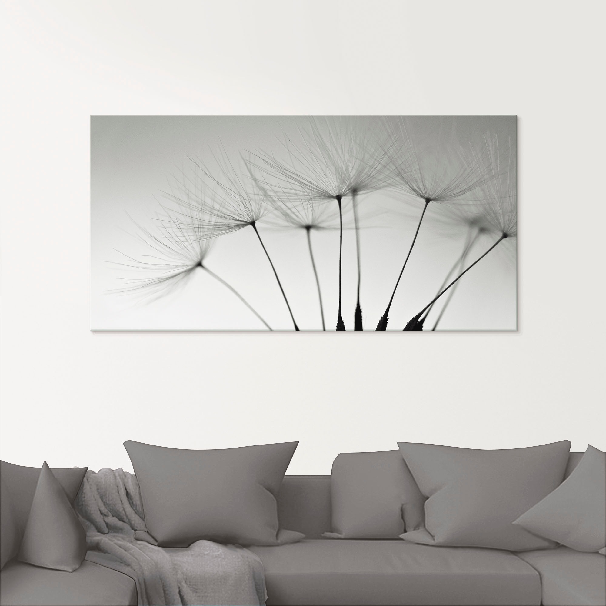 Artland Glasbild "Pusteblumen-Samen I" 1 Stk. tlg. in verschiedenen Größen günstig online kaufen