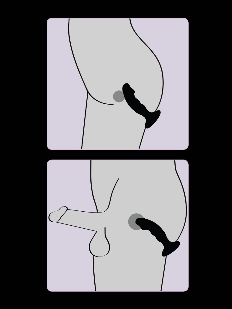 BLACK VELVETS Anal-Stimulator »vibrierender Analplug Black Velvets Rechargeable Plug« ()