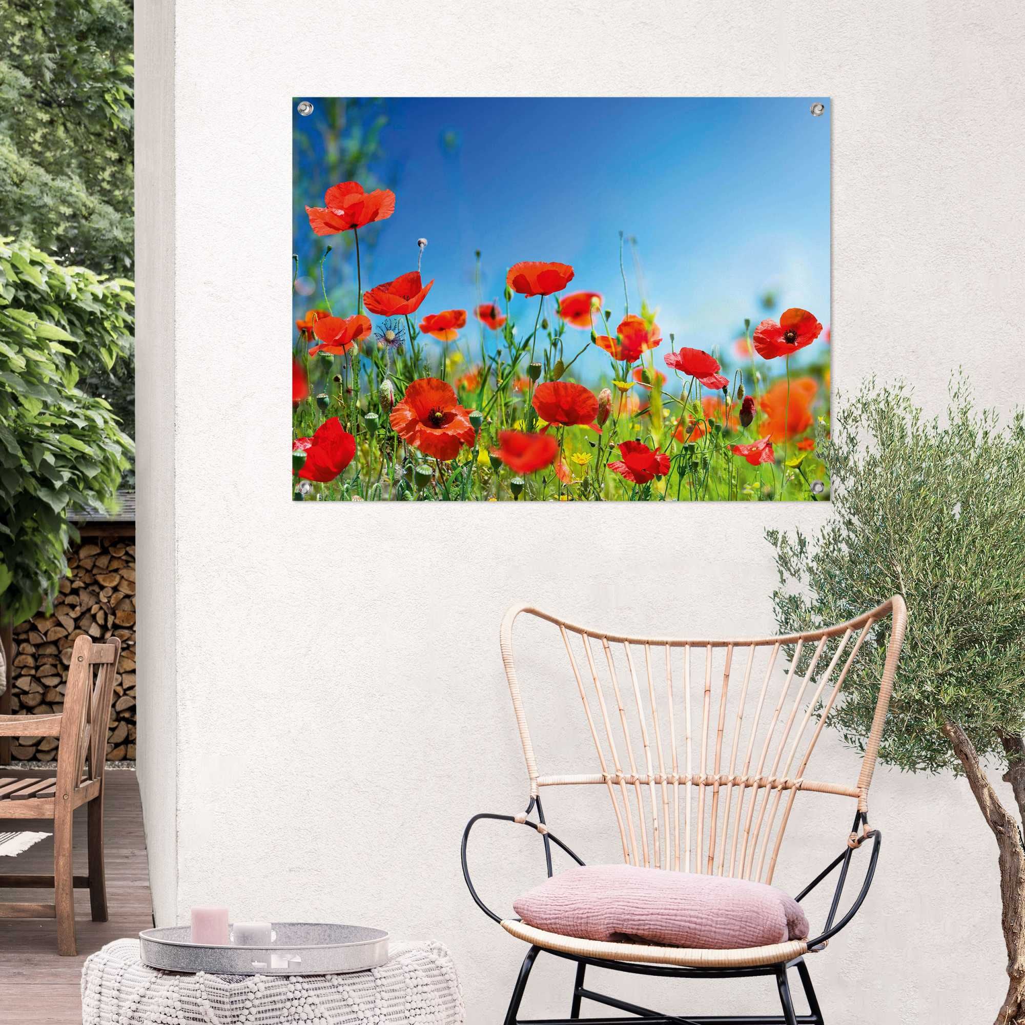 Reinders! Poster »Sommerblumen«, Outdoor für Garten oder Balkon