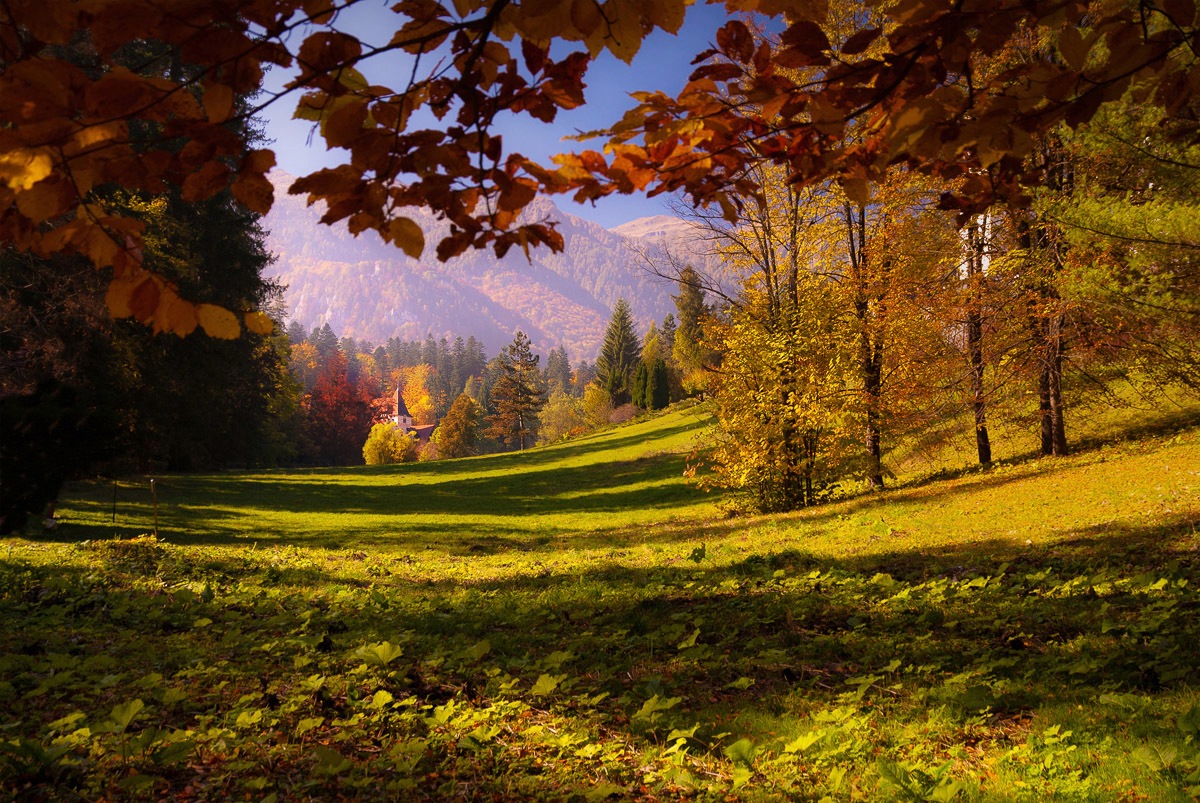 Papermoon Fototapete »Boot im See«