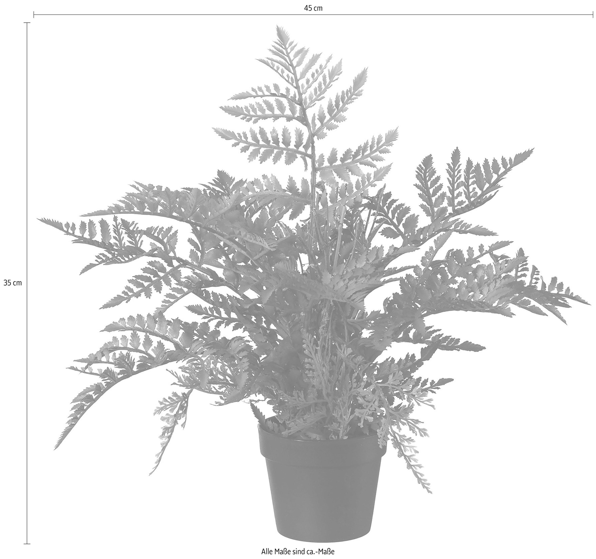 Creativ green Künstliche Zimmerpflanze