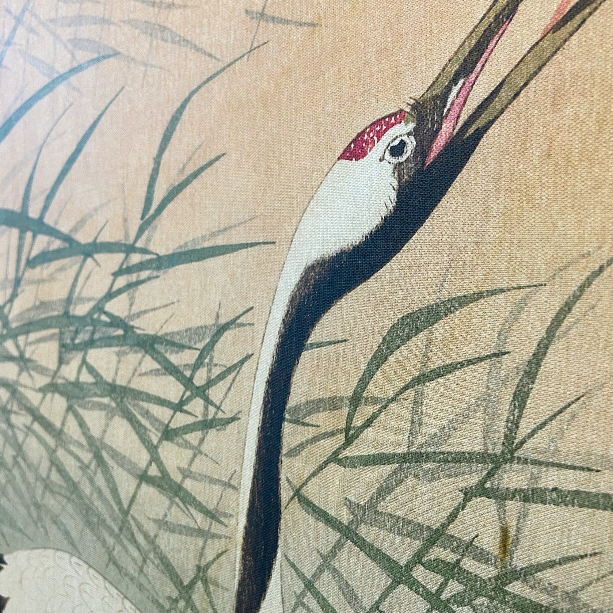 Art for the home Leinwandbild »Kranich«, (1 St.)
