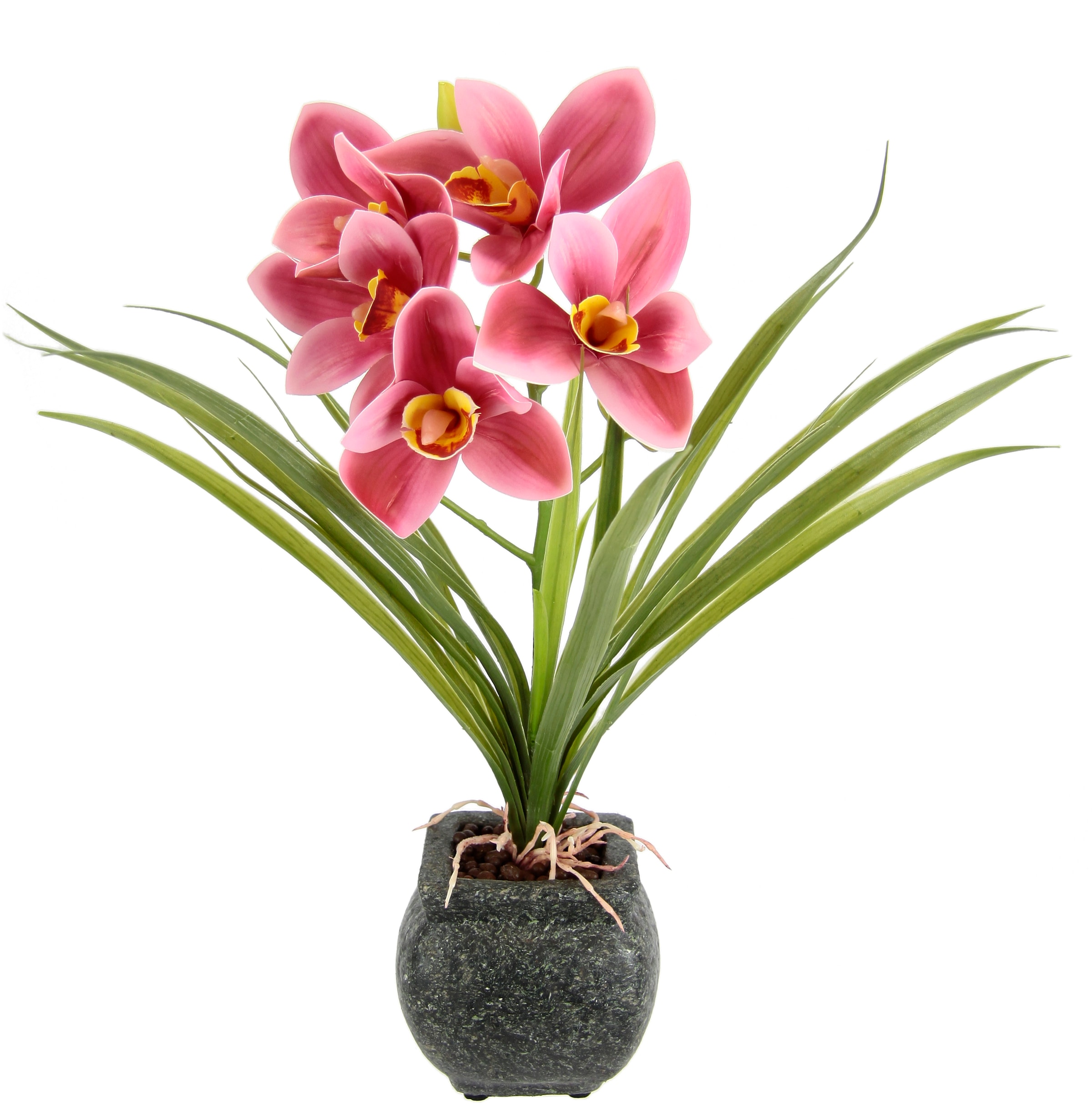 my home Kunstblume »Orchidee«, Mit Blätter im Topf aus Zement Künstliche Blume Cymbidium-Orchidee