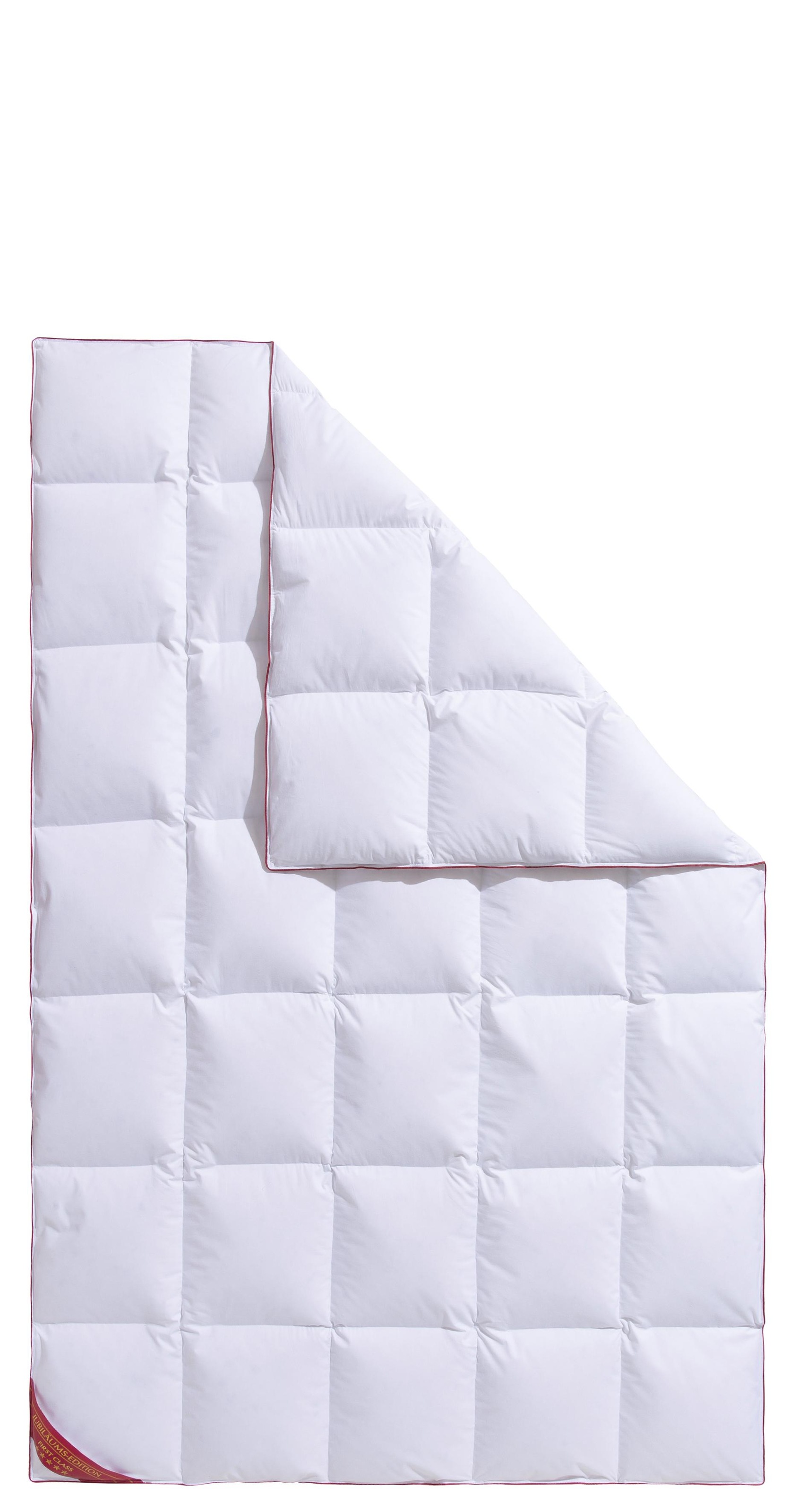 Hanse by RIBECO Daunenbettdecke "Jule" warm Füllung 90Daunen10Federn 1 Stk. günstig online kaufen