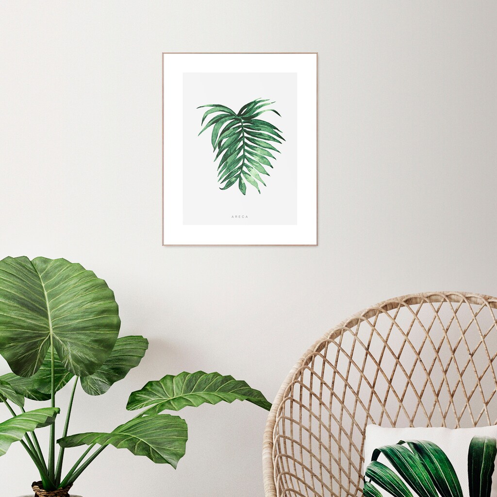 Reinders! Bild mit Rahmen »Areca Leaf«, (1 St.)