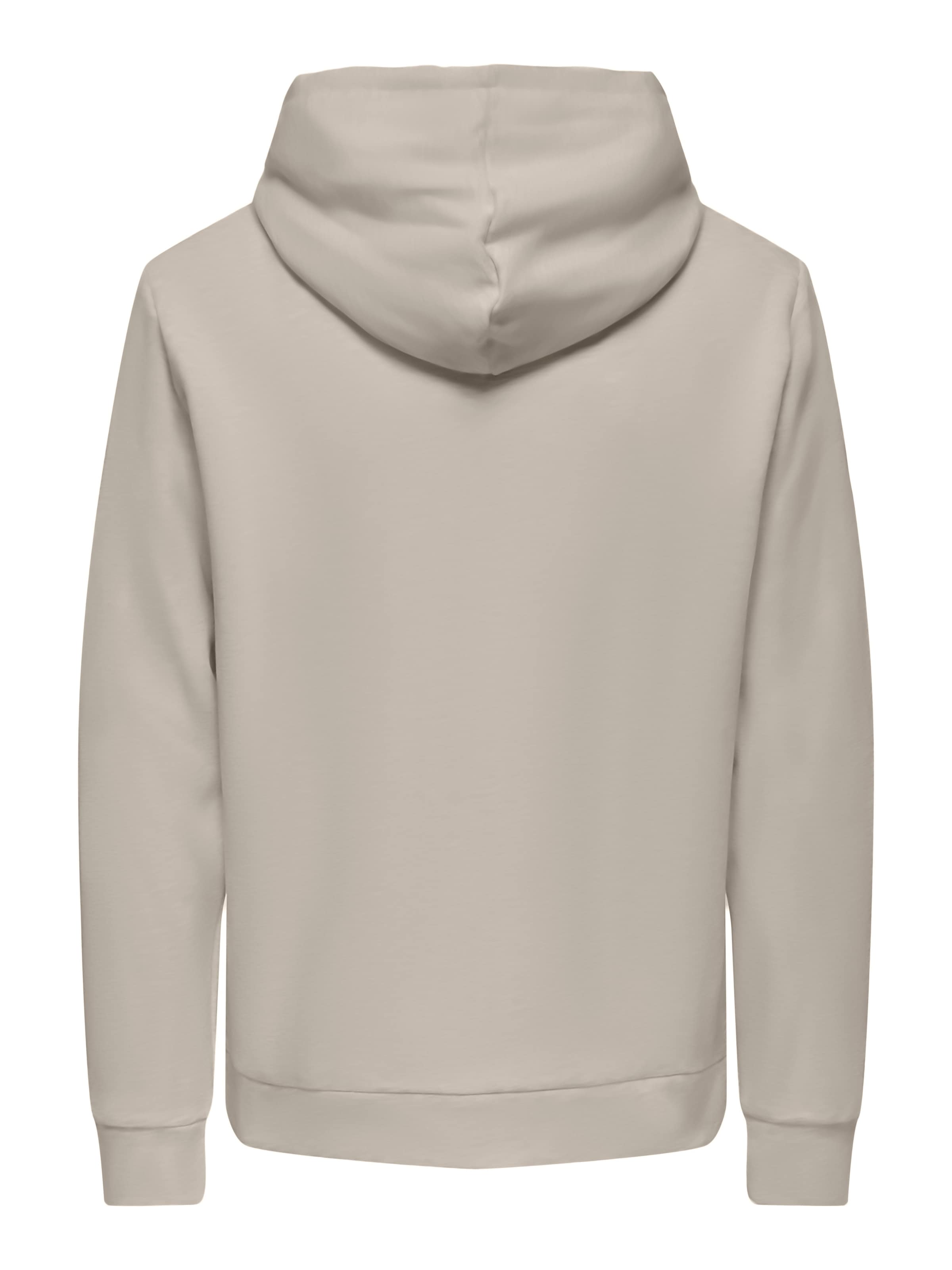 ONLY & SONS Kapuzensweatshirt »ONSCHASE REG HOOD SWEAT OTL«
