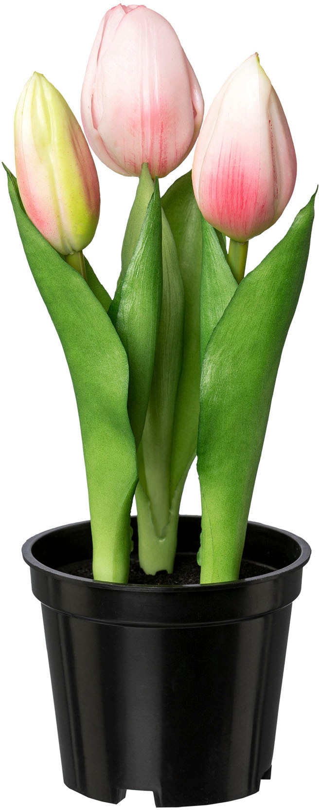 my home Kunsttulpe »Tulpe im Topf«