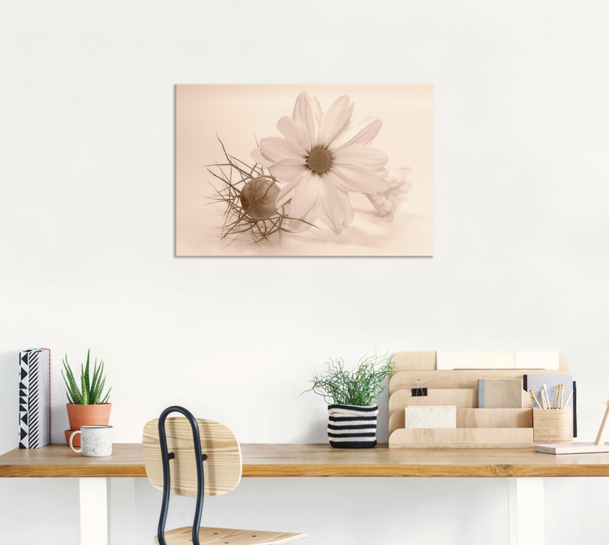 Artland Wandbild »Chrysantheme«, Blumen, (1 St.), als Alubild, Outdoorbild, Poster in verschied. Größen