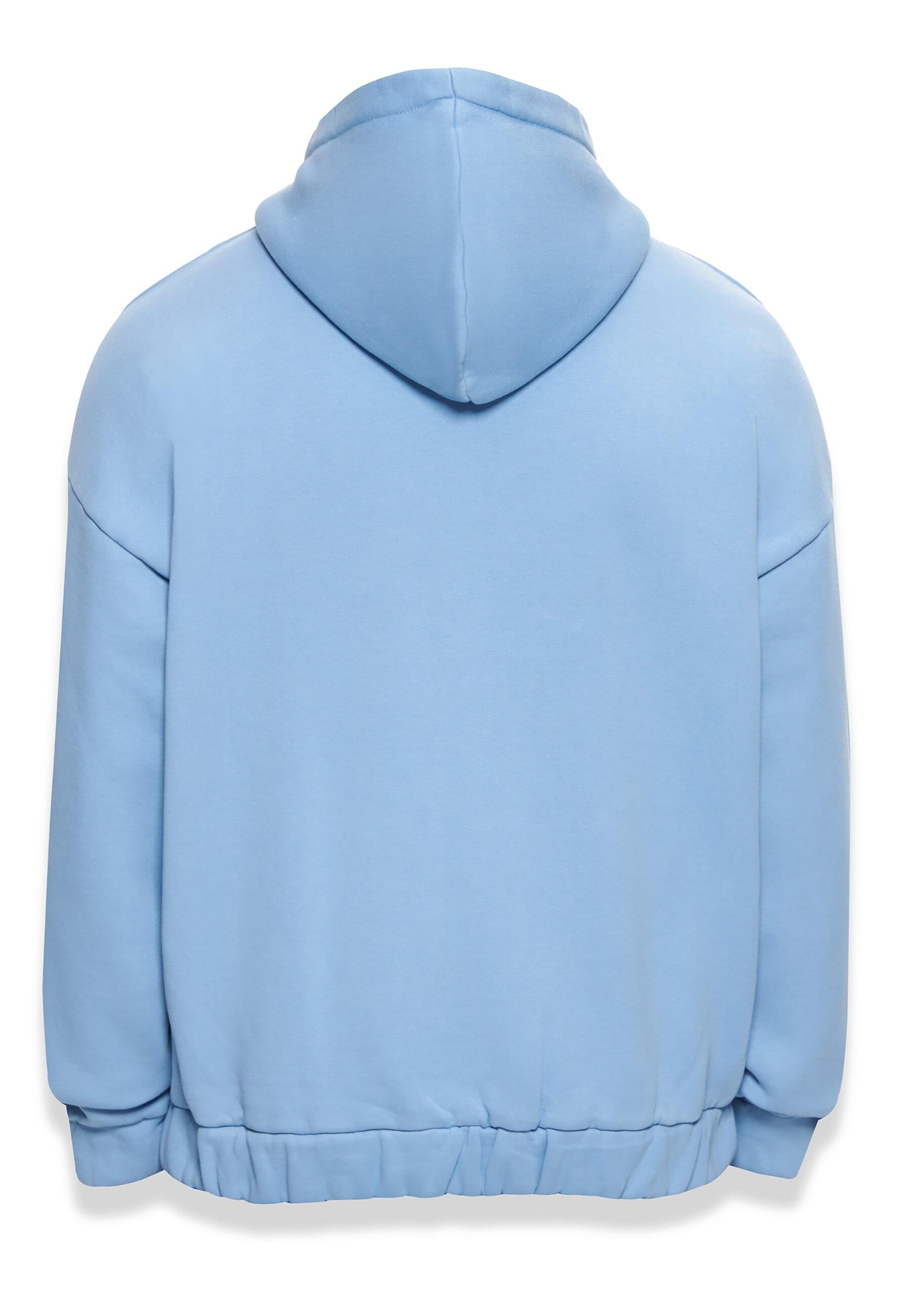 Dropsize Kapuzenpullover "Dropsize Herren Bazix Republiq Super Heavy Blank günstig online kaufen