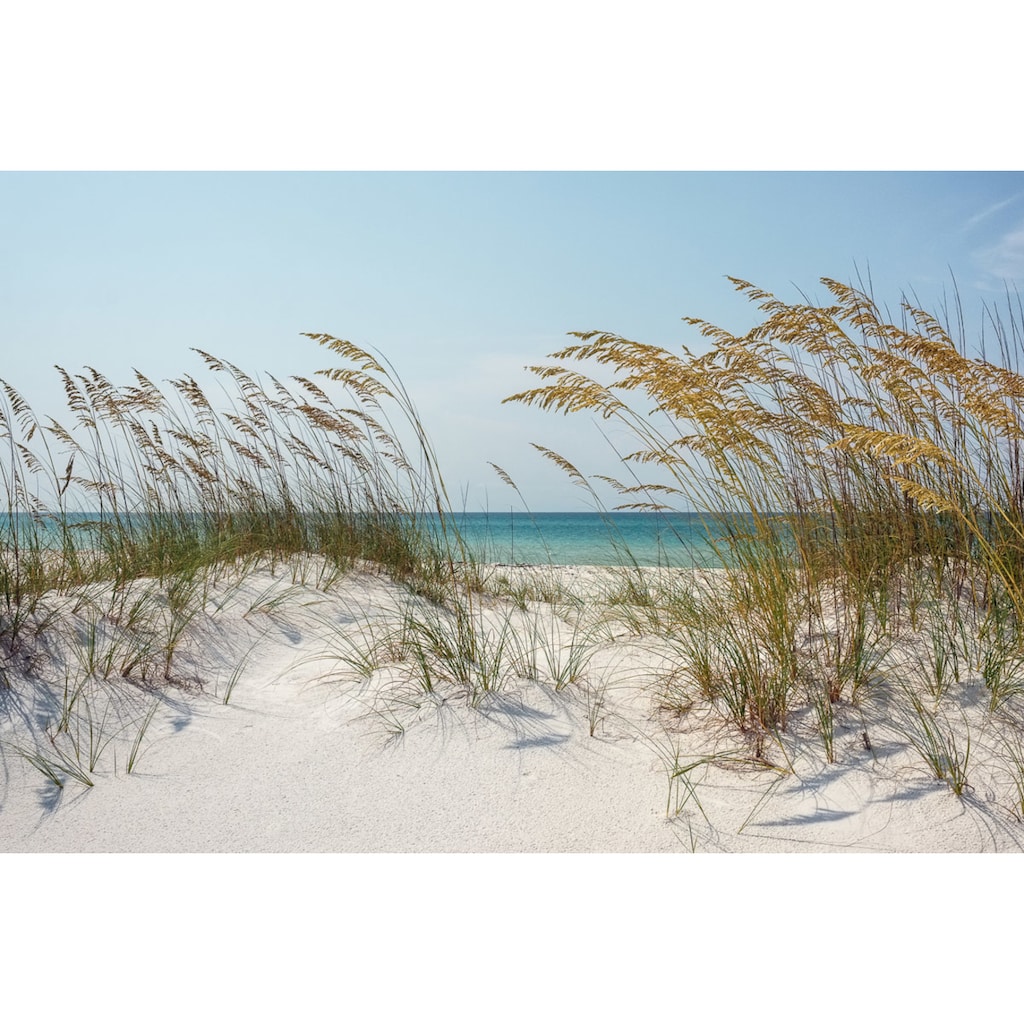 Papermoon Fototapete »Ocean Beach Dunes«