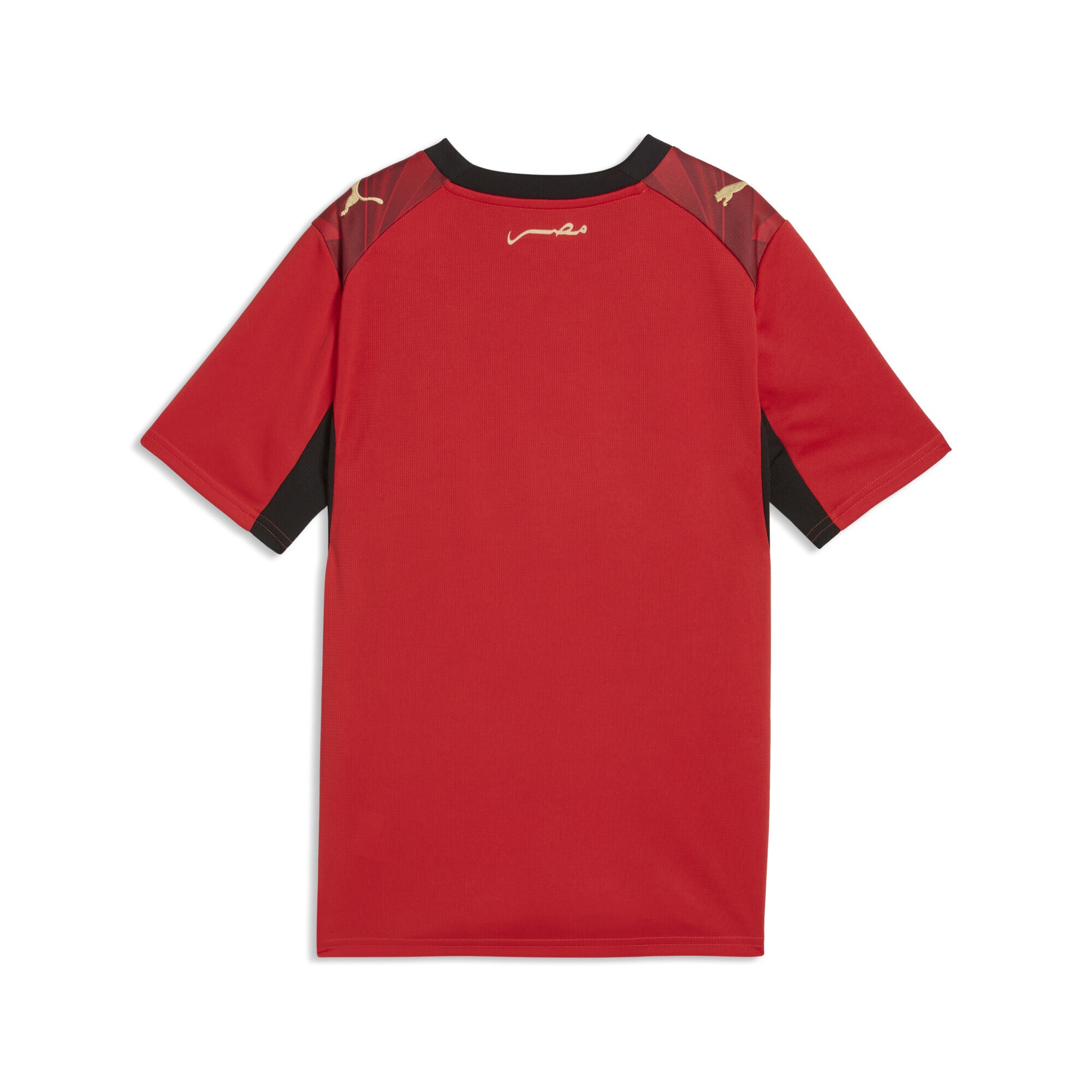 PUMA Trainingsshirt »Ägypten Heimtrikot Jugendliche«