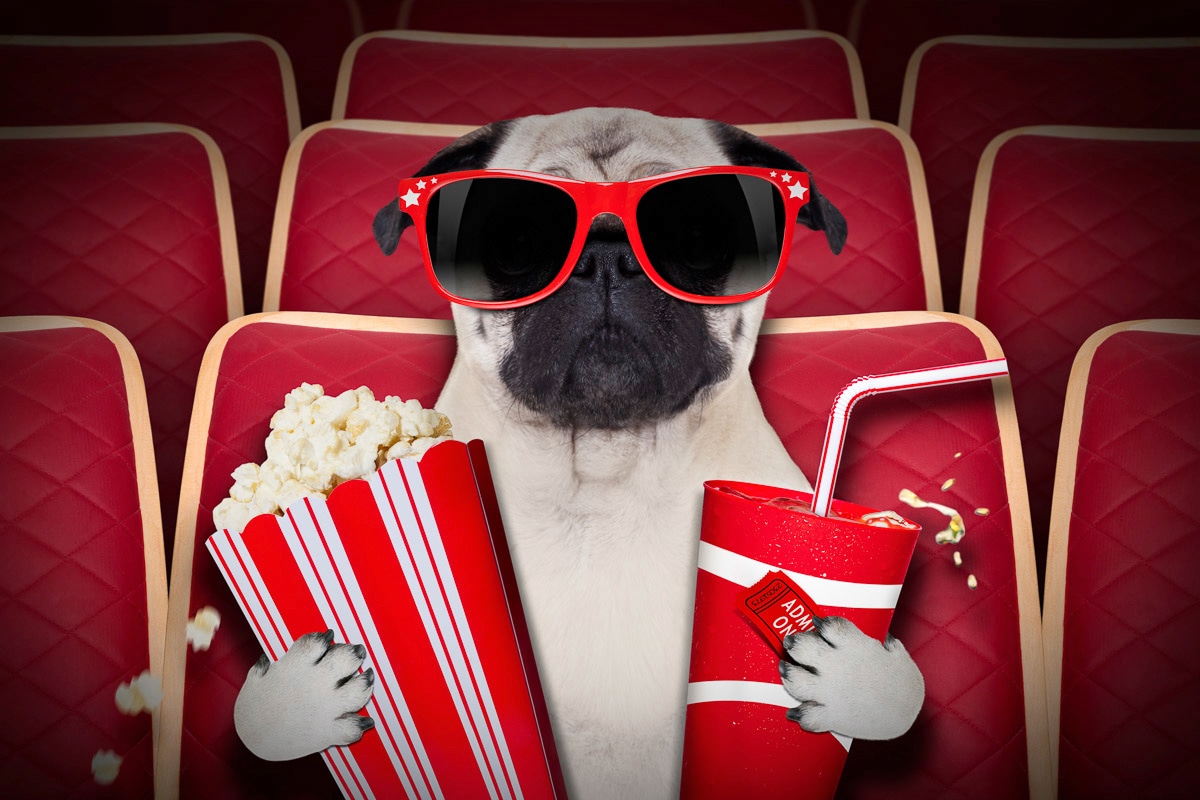 Papermoon Fototapete "Hund im Kino"