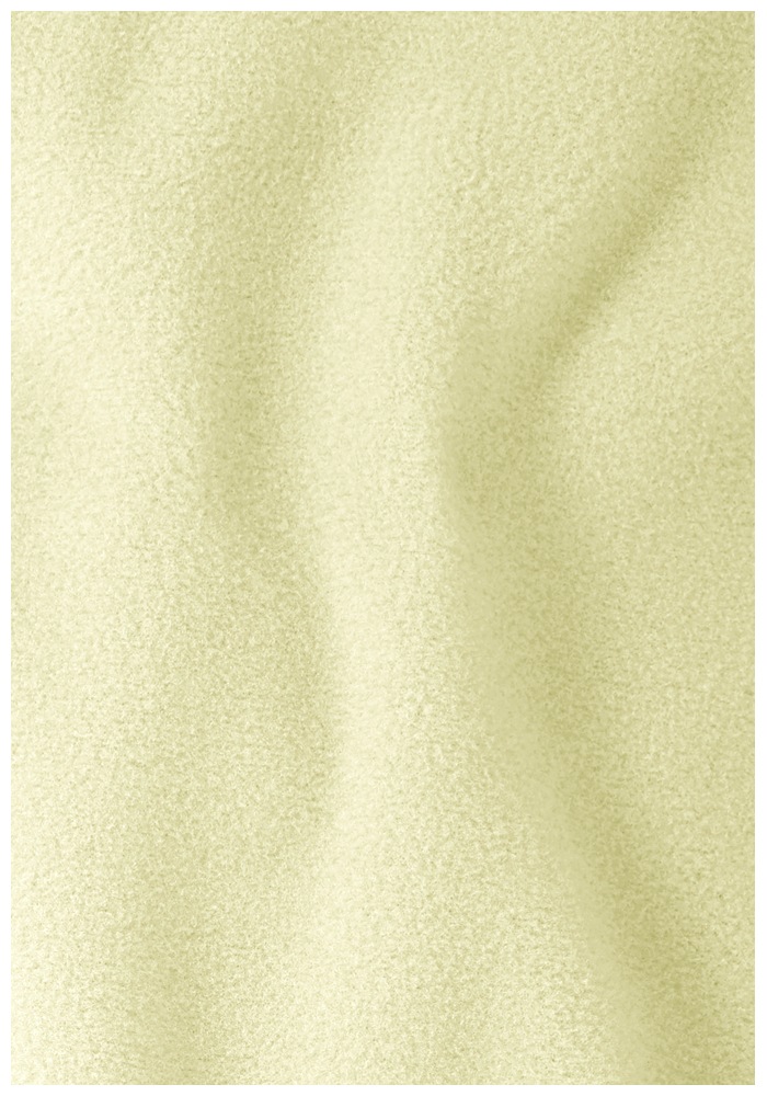 Jack Wolfskin Stehkragenpullover »TAUNUS 100 HZ W«