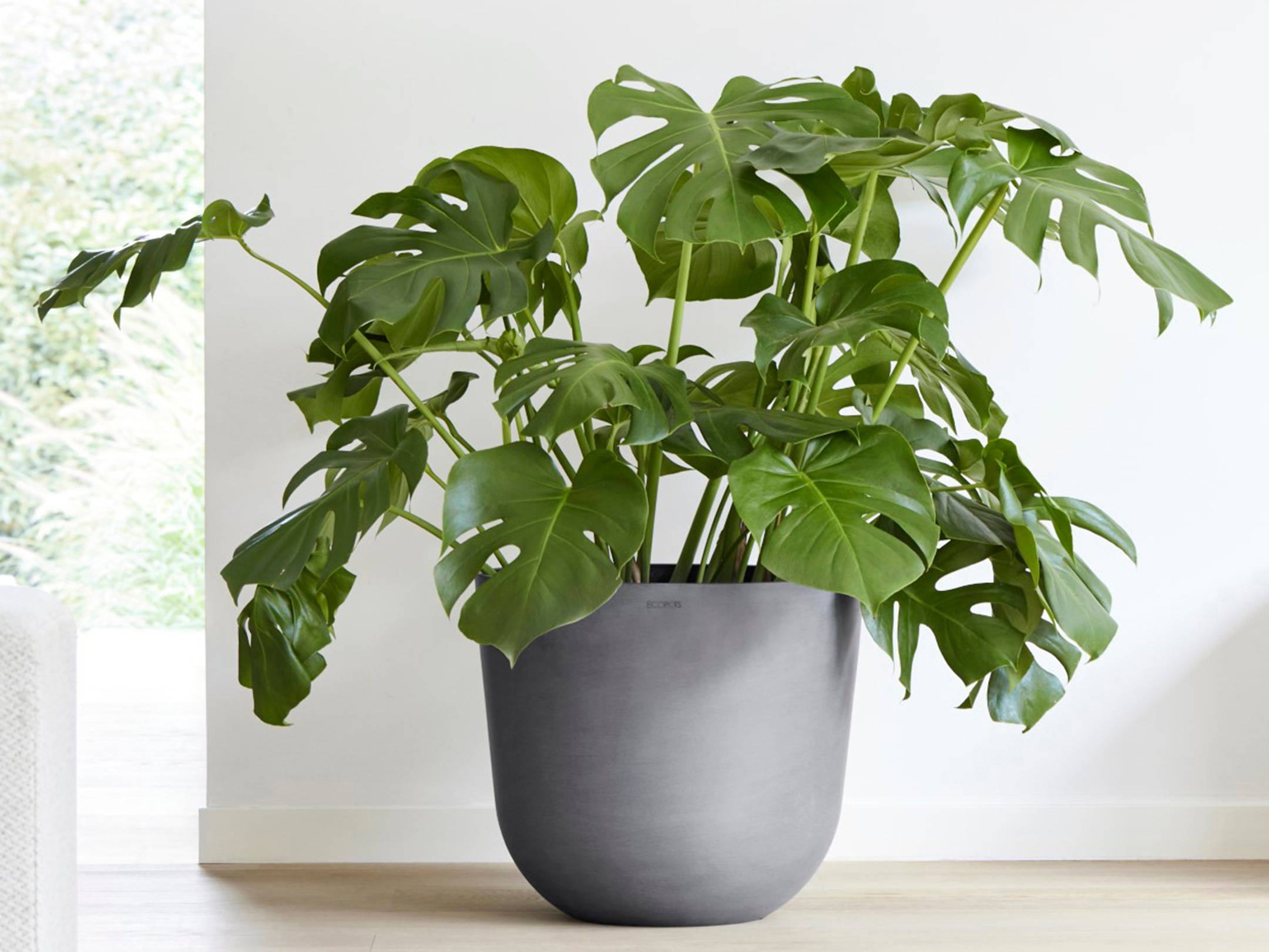 ECOPOTS Blumentopf »Oslo 45 + Wassersystem Grau«, für innen und außen: frostsicher, bruchsicher und lichtbeständig