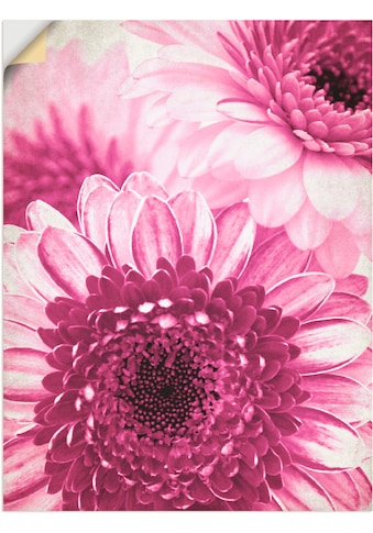 Artland Paveikslas »Pinke Gerbera« Blumen (1 S...