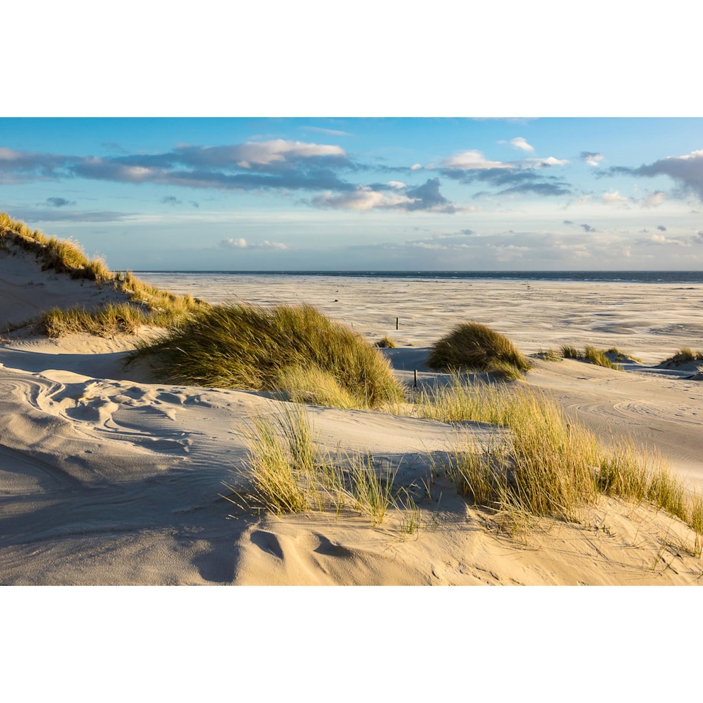 Papermoon Fototapete »DÜNEN-AMRUM NORDSEE STRAND MEER INSEL HOLSTEIN GRAS XXL«