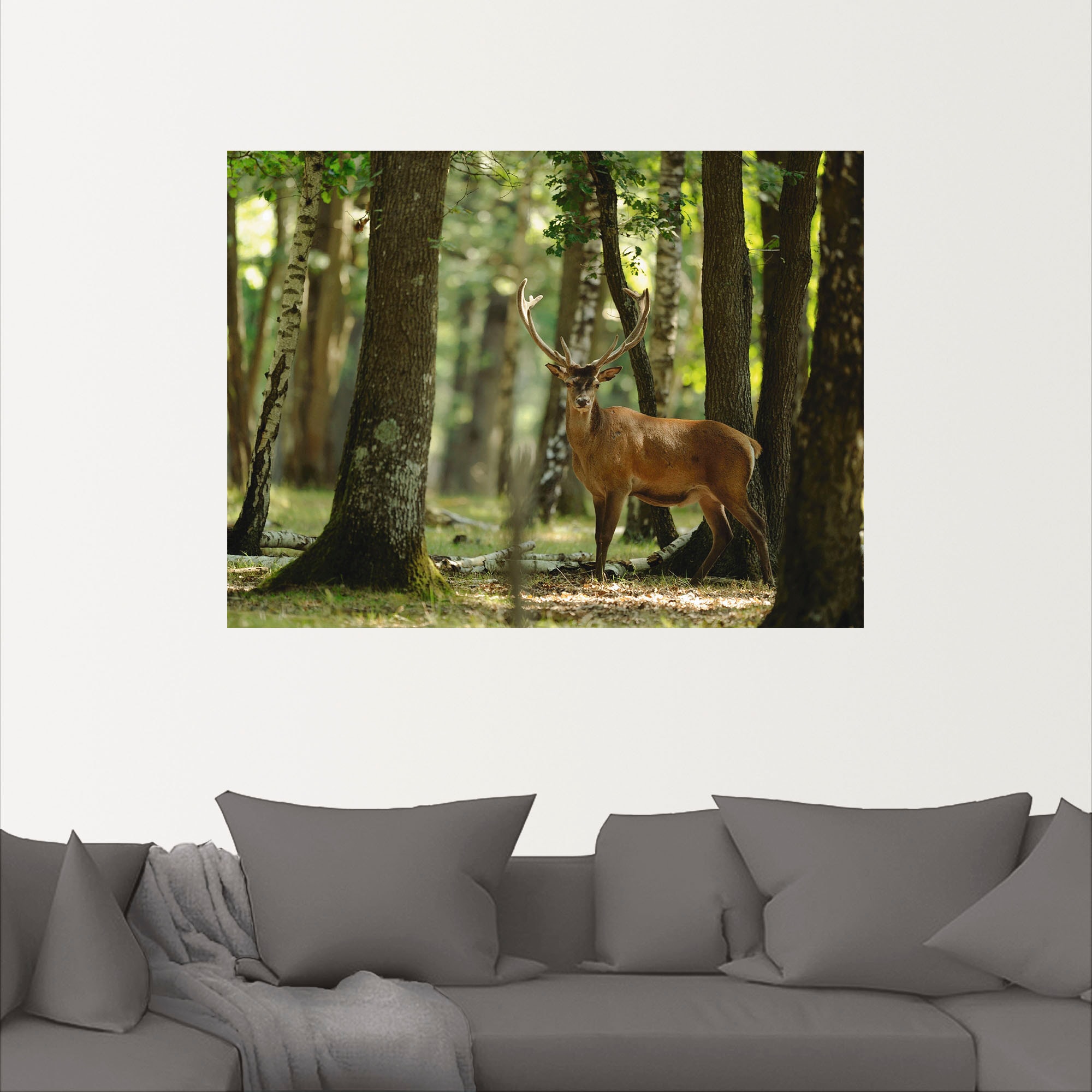 Artland Wandbild »Hirsch 4 - Wald«, Wildtiere, (1 St.), als Alubild, Leinwandbild, Wandaufkleber oder Poster in versch. Größen