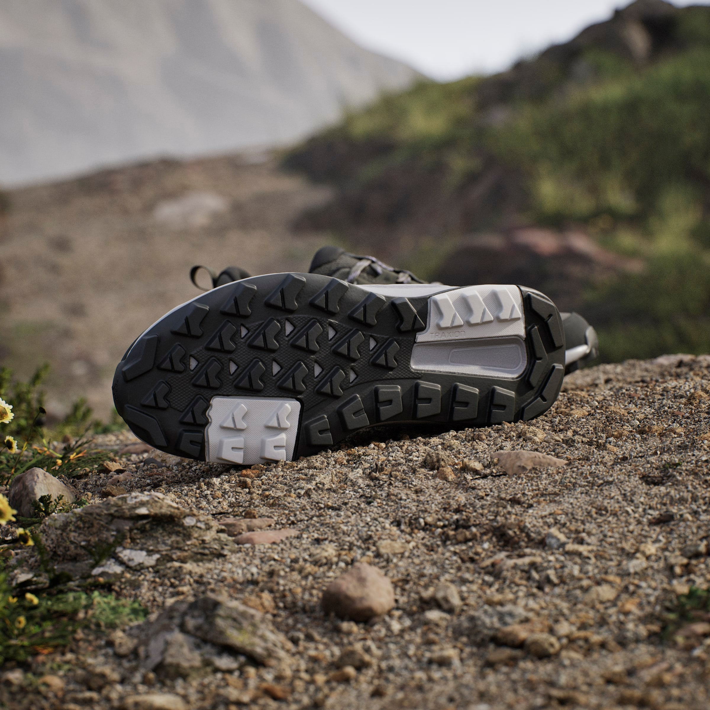 adidas TERREX »TERREX ANYLANDER«