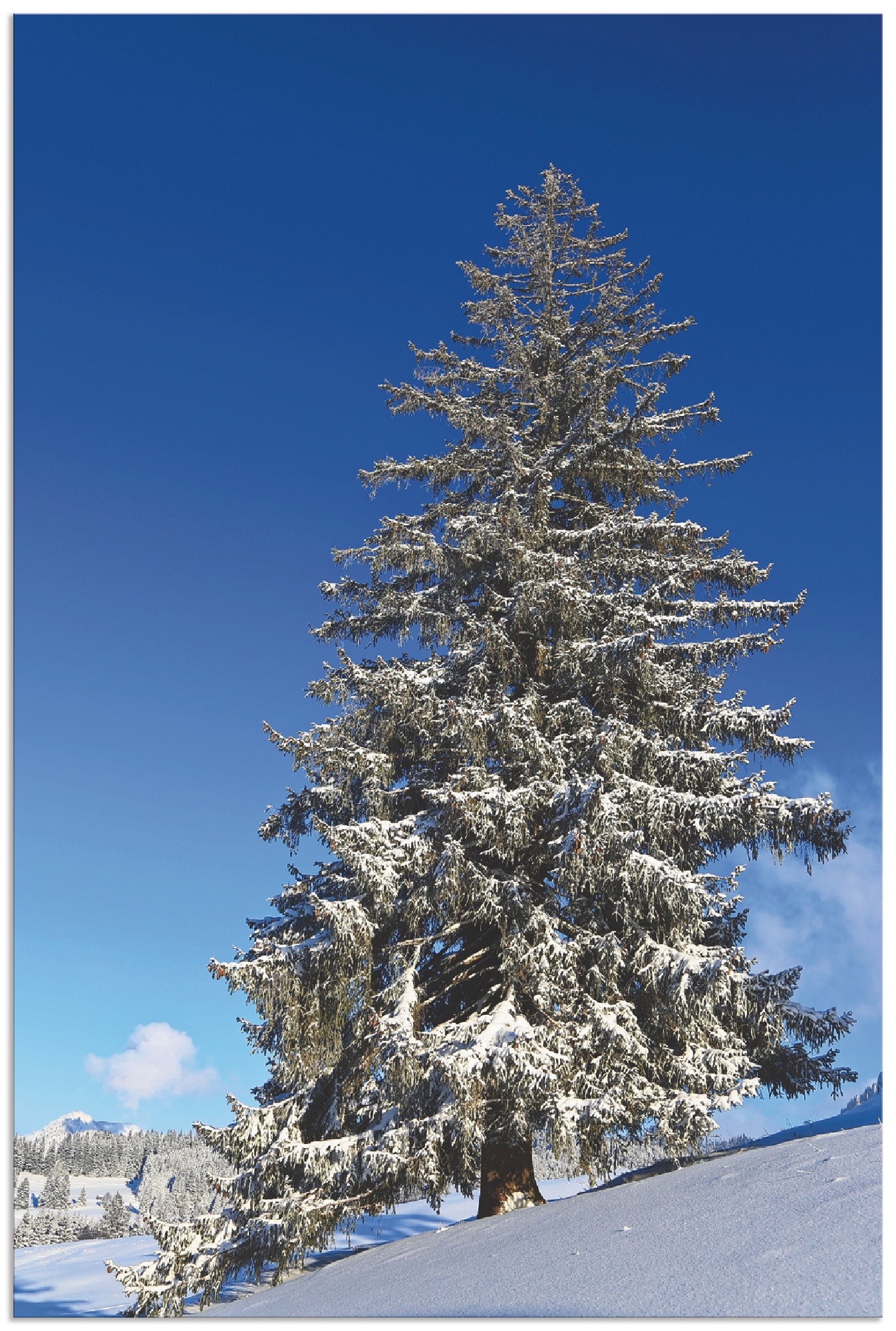 Artland Wandbild »Winterlandschaft im Allgäu«, Bäume, (1 St.), als Alubild, Leinwandbild, Wandaufkleber oder Poster in versch. Größen