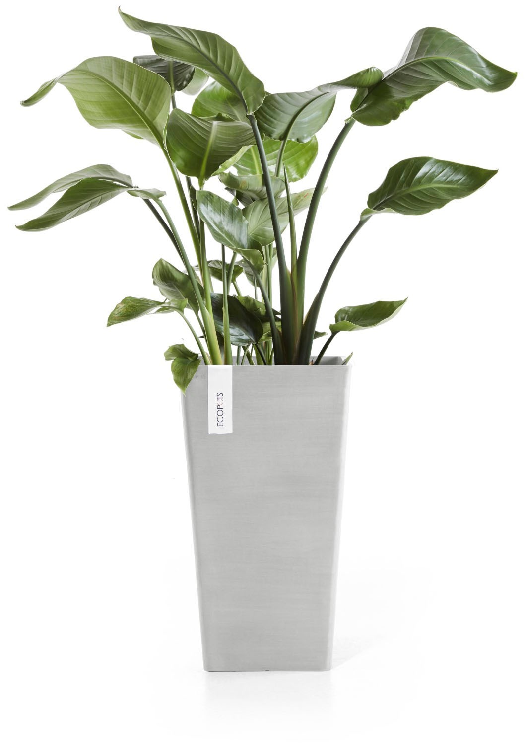 ECOPOTS Blumentopf »Rotterdam halbhoch 56 Weißgrau« für innen und außen: frostsicher, bruchsicher und lichtbeständig