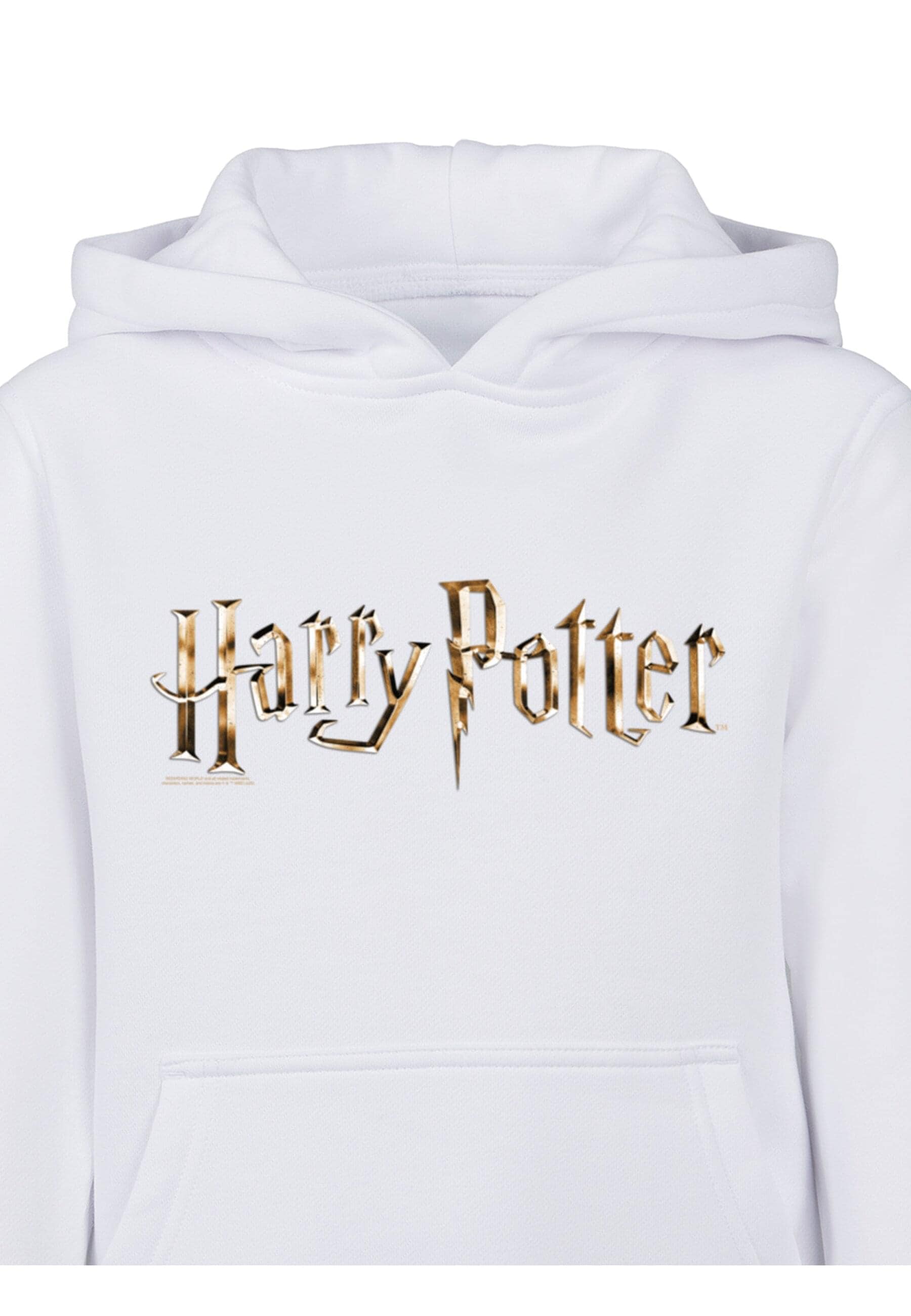 ABSOLUTE CULT Kapuzensweatshirt »ABSOLUTE CULT Herren Kids Harry Potter - Colour Logo Basic Hoody«