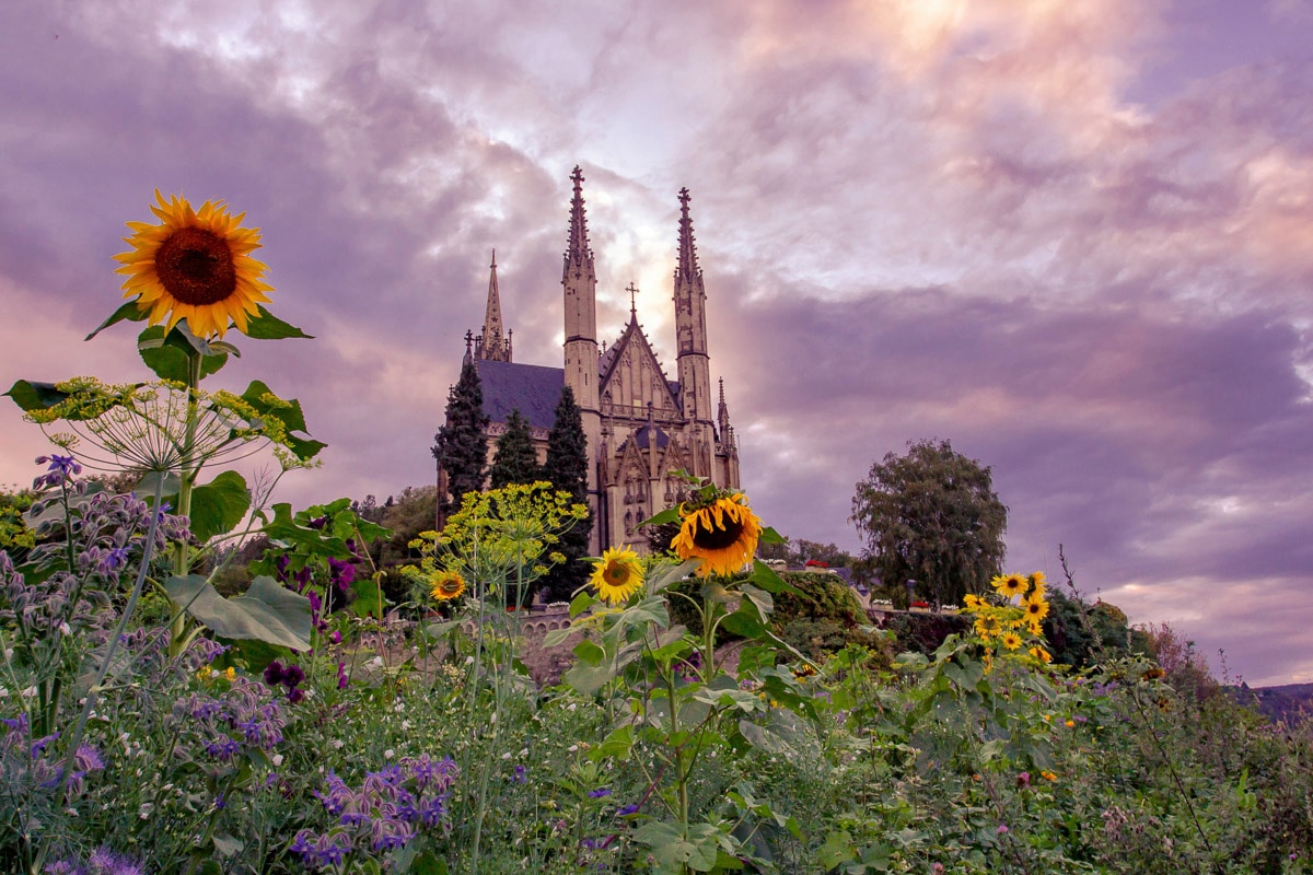 Fototapete »Kirche im Sonnenblumenfeld«
