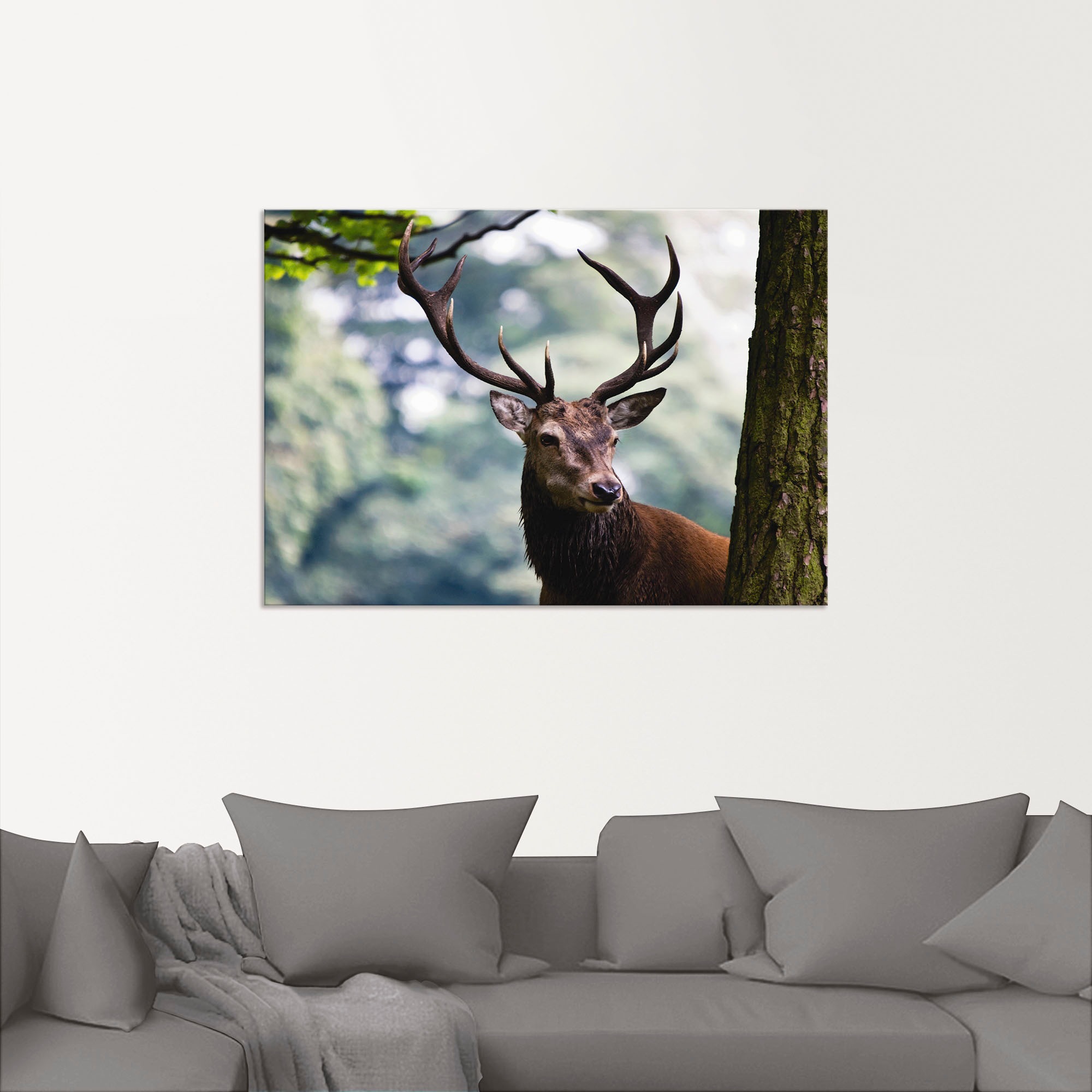 Artland Wandbild »Hirsch«, Wildtiere, (1 St.), als Alubild, Outdoorbild, Leinwandbild, Poster in verschied. Größen
