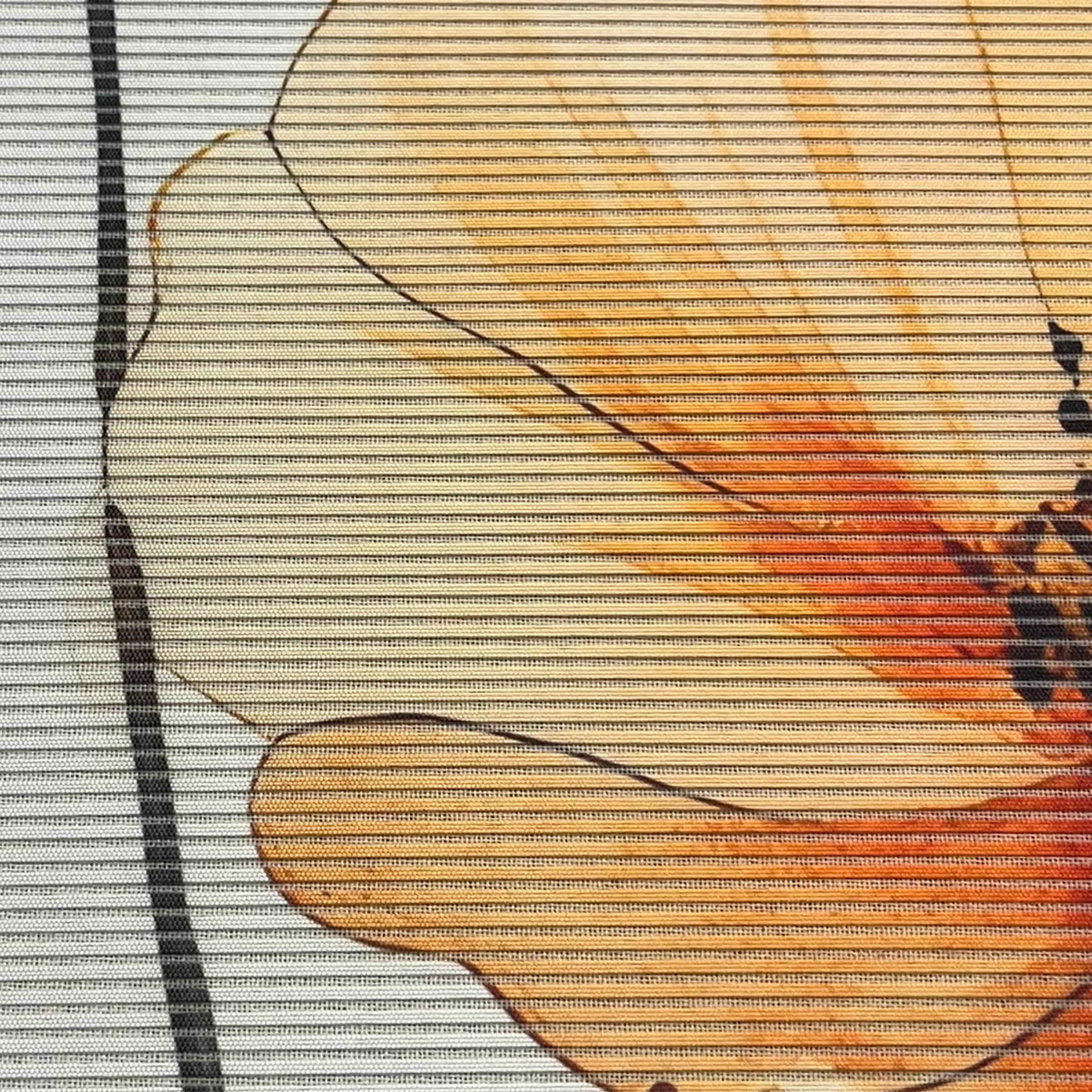 Vision S Schiebegardine »PRARIE« Paneelwagen 1 Stk. tlg. digital bedruckt