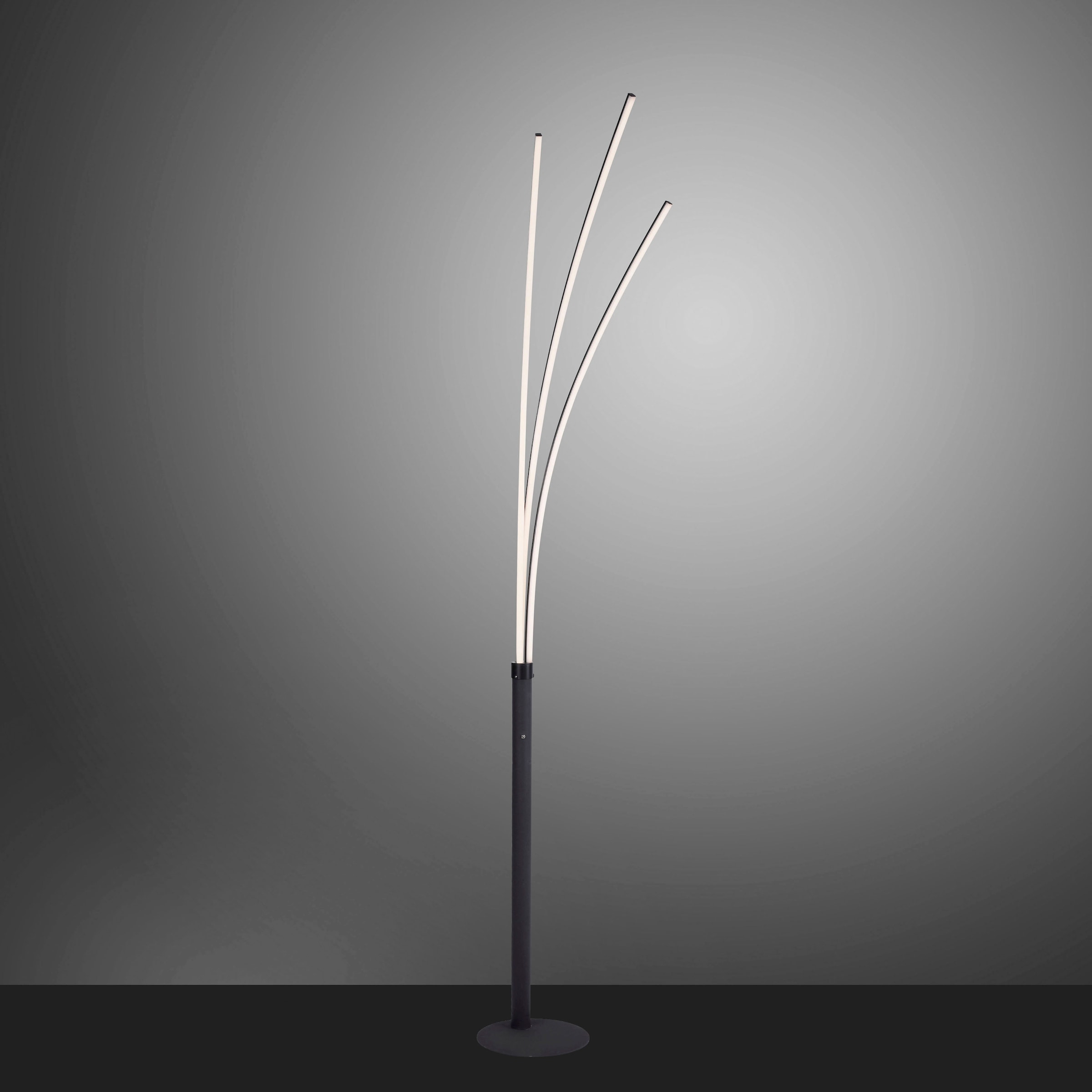 JUST LIGHT Stehlampe »MAJA«, 3 flammig-flammig, LED, Schalter, Kippschalter  | BAUR