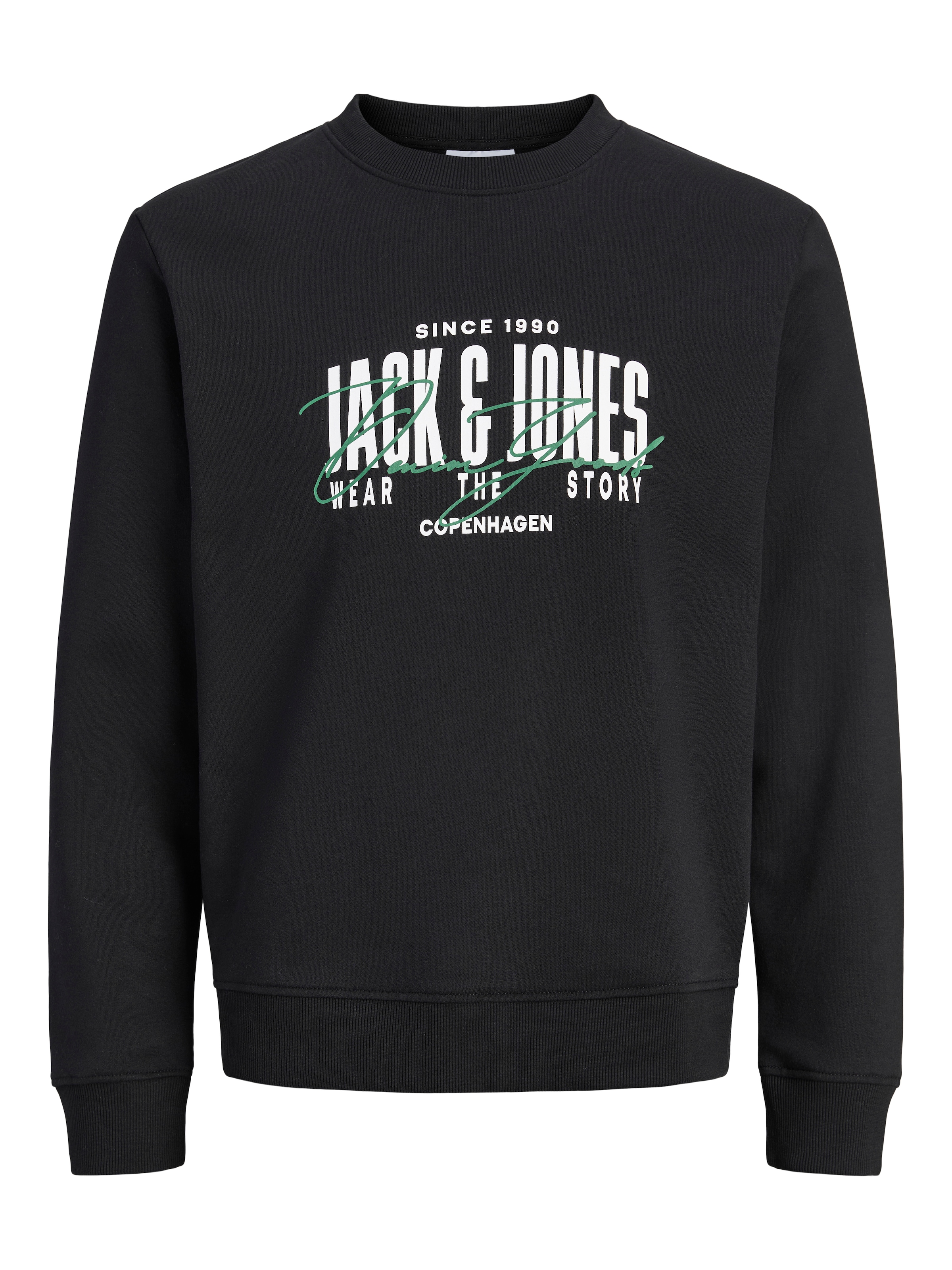 Jack & Jones PlusSize Sweatshirt »JJAERO SWEAT CREW NECK PLS«, Baumwollmischung, regular fit
