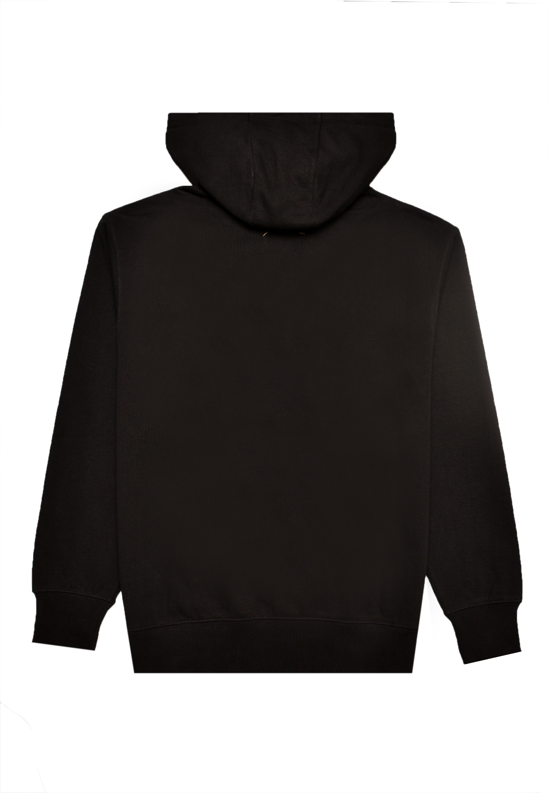 Pas De Monaco Kapuzenpullover »Pas De Monaco 911 ARCH HOODY« 1