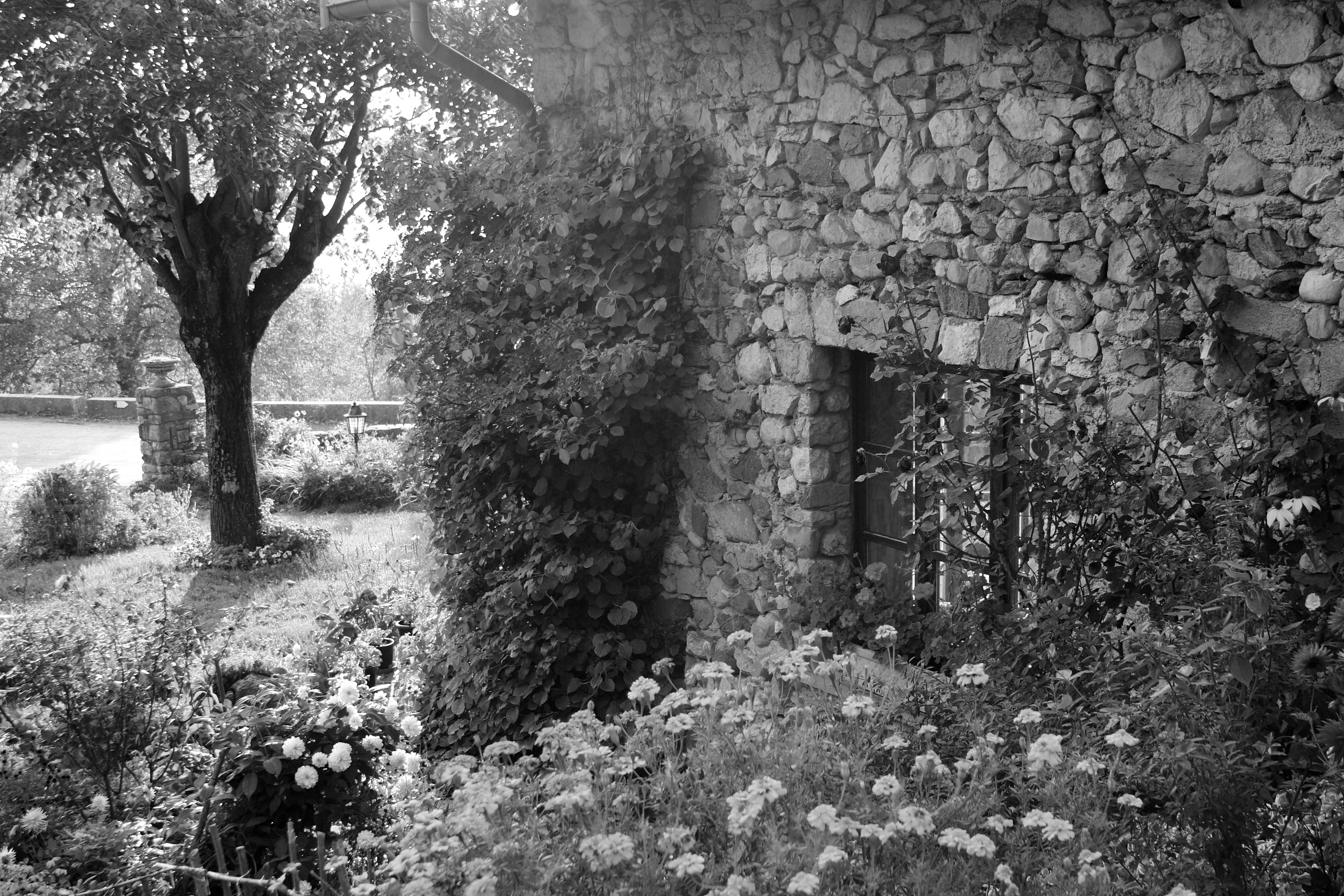 Papermoon Fototapete "Garten Schwarz & Weiß"