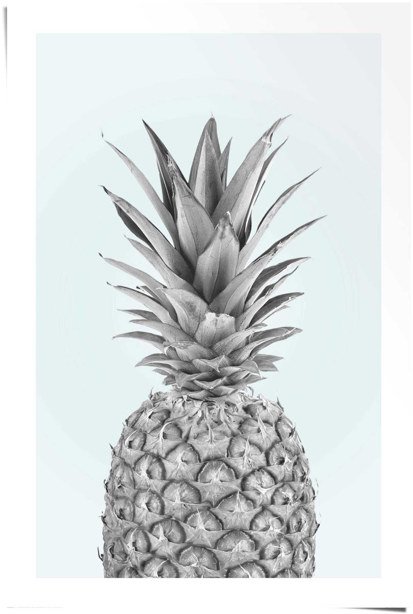 Reinders Poster "Ananas" günstig online kaufen