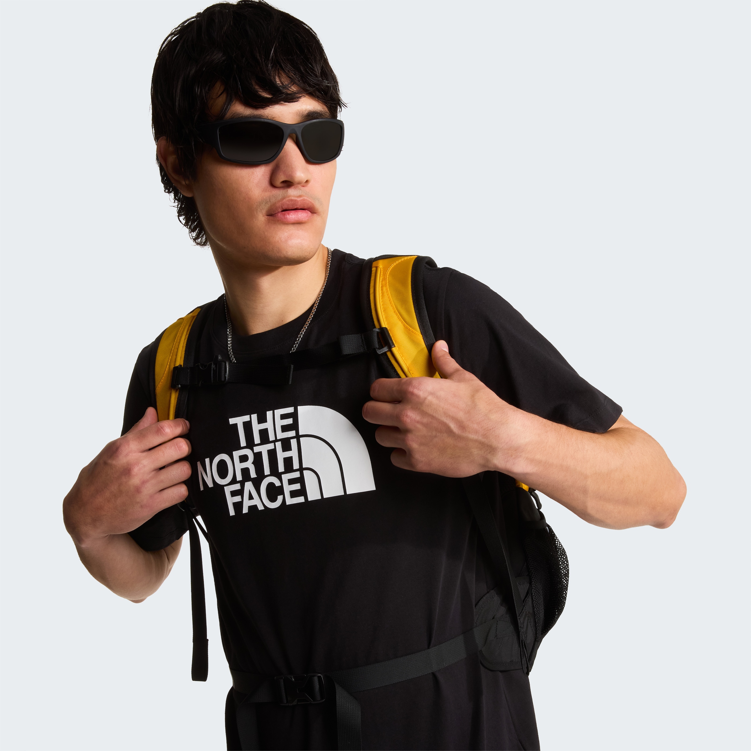 The North Face T-Shirt »M EVOLUTION HALF DOME REGULAR SHORT SLEEVE TEE« sportliche Passform, kurze Ärmel, für Sportmode und Outdoormode