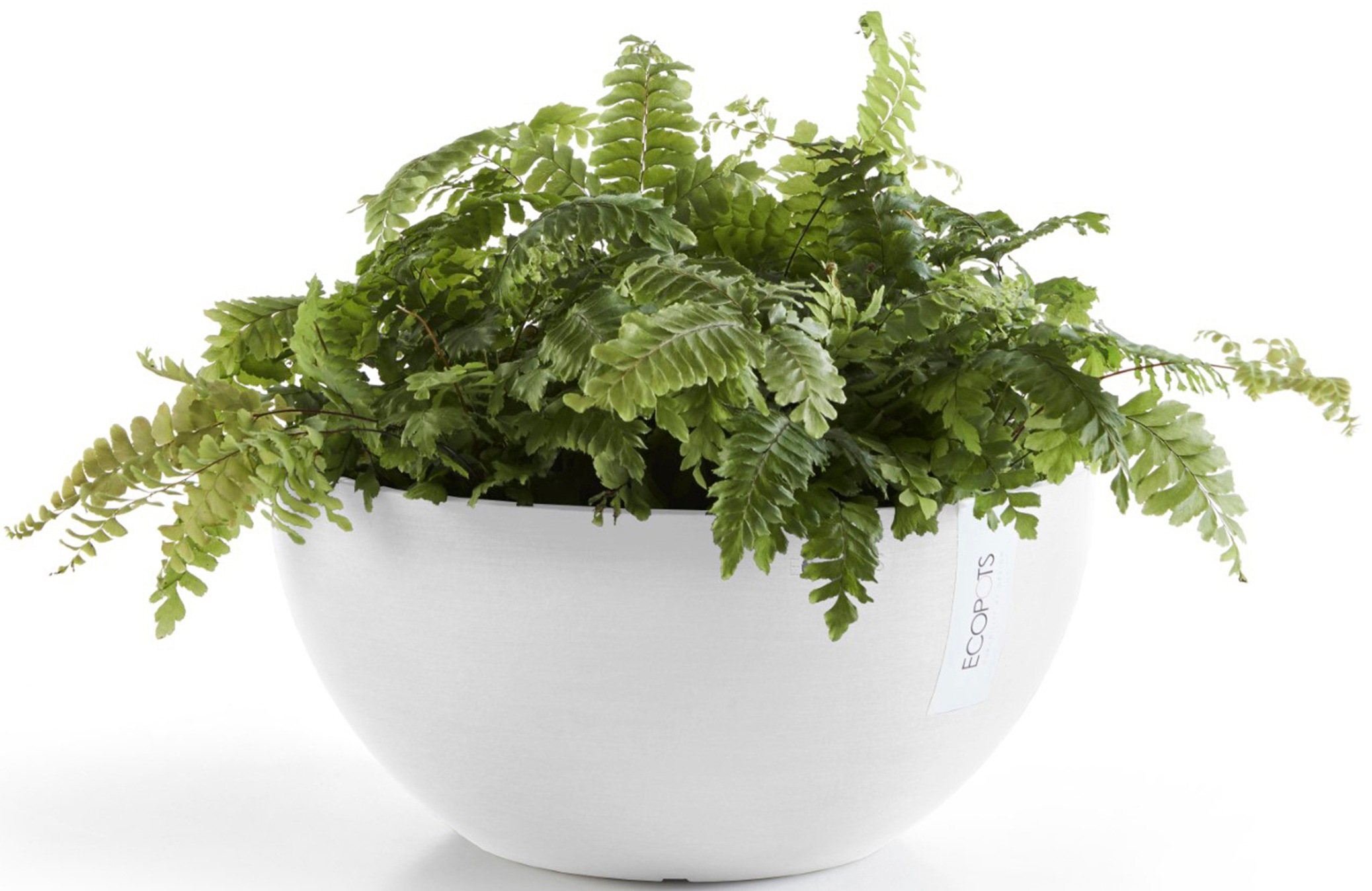ECOPOTS Blumentopf »Brussels 35 Weiß«, für innen und außen: frostsicher, bruchsicher und lichtbeständig