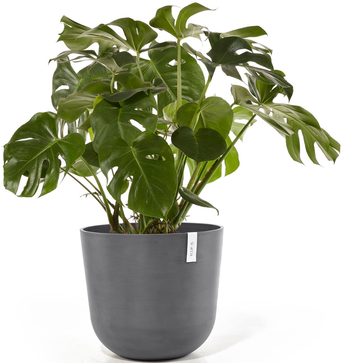 ECOPOTS Blumentopf »Oslo 55 + Wassersystem Grau«, für innen und außen: frostsicher, bruchsicher und lichtbeständig