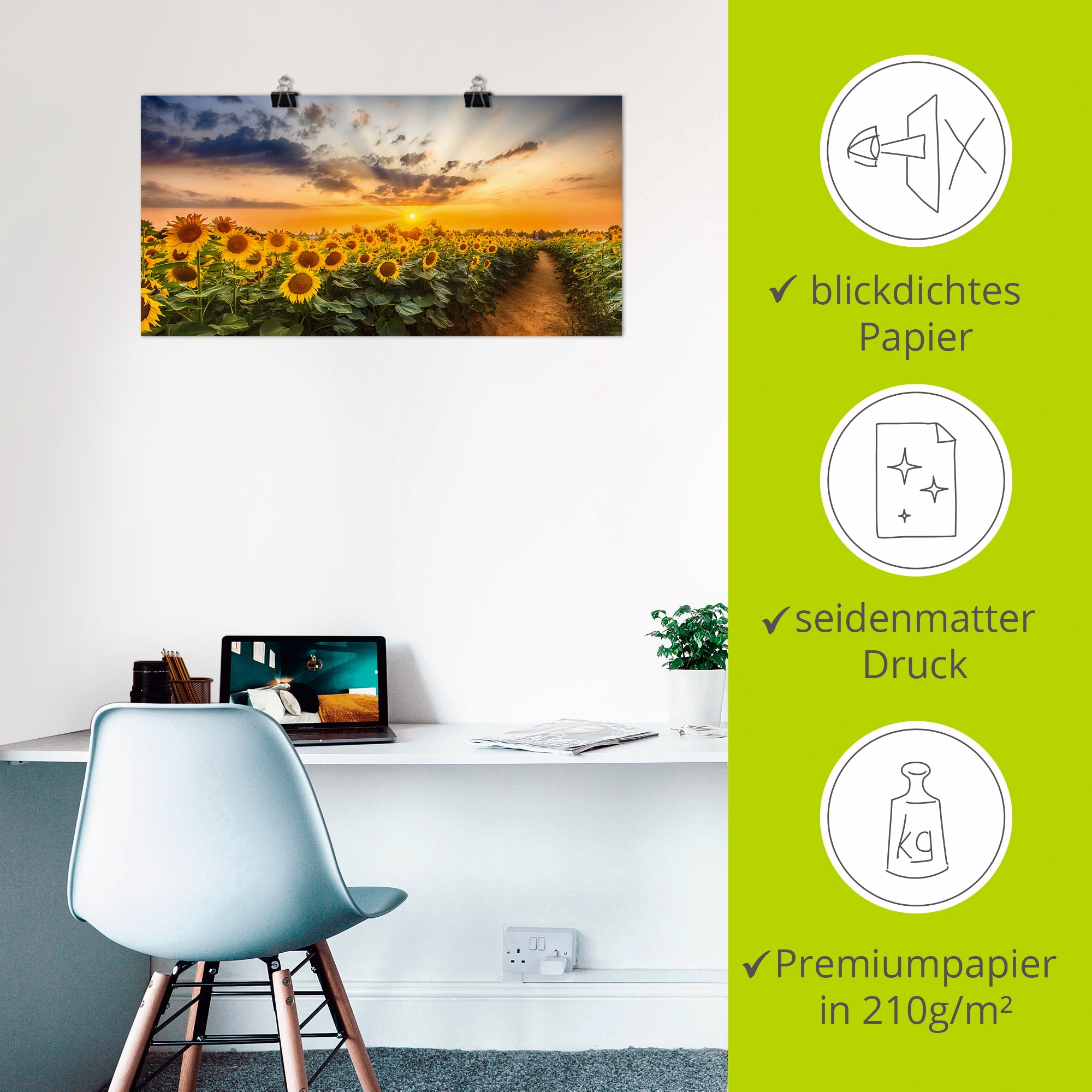 Artland Wandbild »Sonnenblumenfeld bei Sonnenuntergang« Blumenbilder 1 Stk. tlg. als Alubild, Leinwandbild, Poster in verschied. Größen