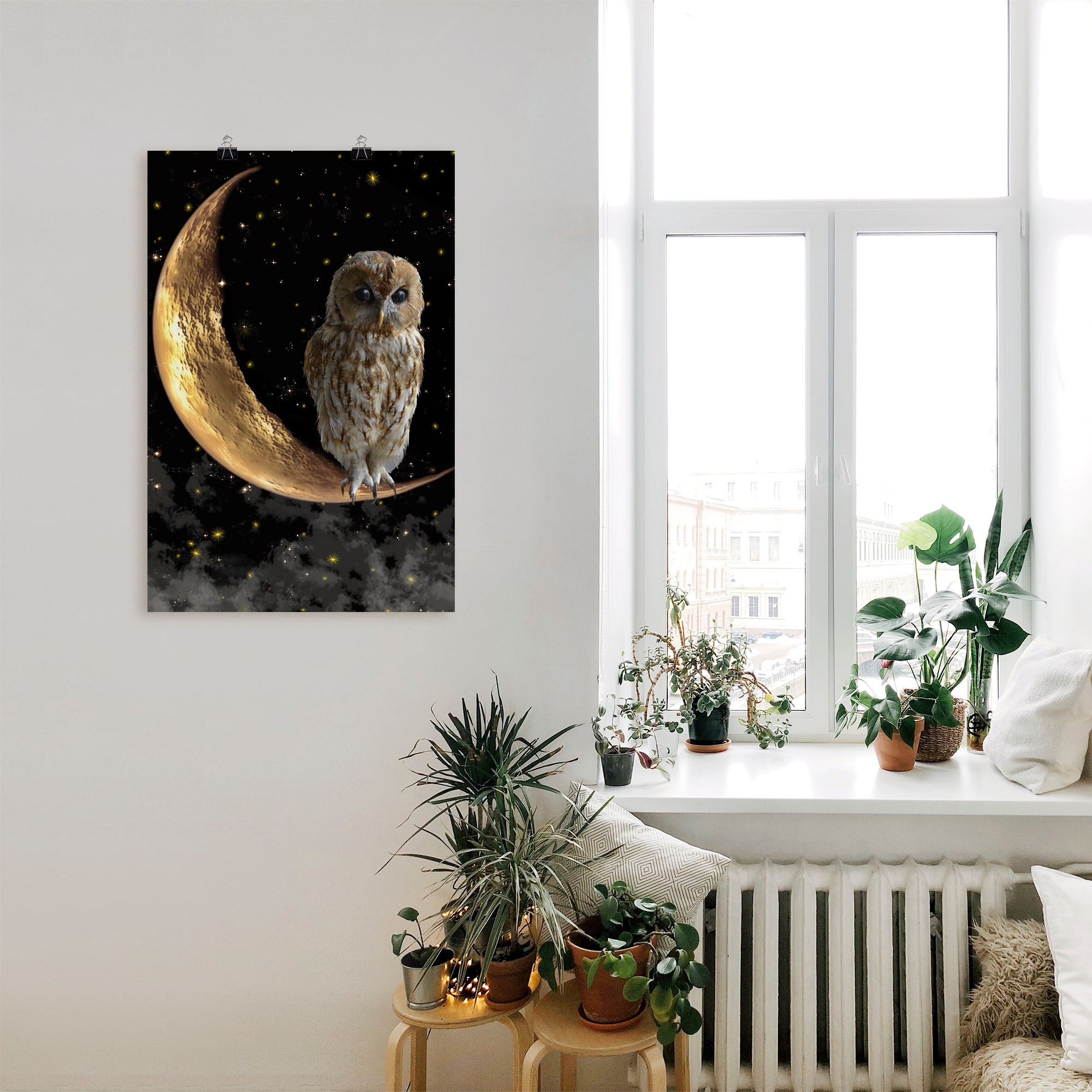 Artland Wandbild »Nachteule«, Vögel, (1 St.), als Alubild, Outdoorbild, Leinwandbild, Poster in verschied. Größen