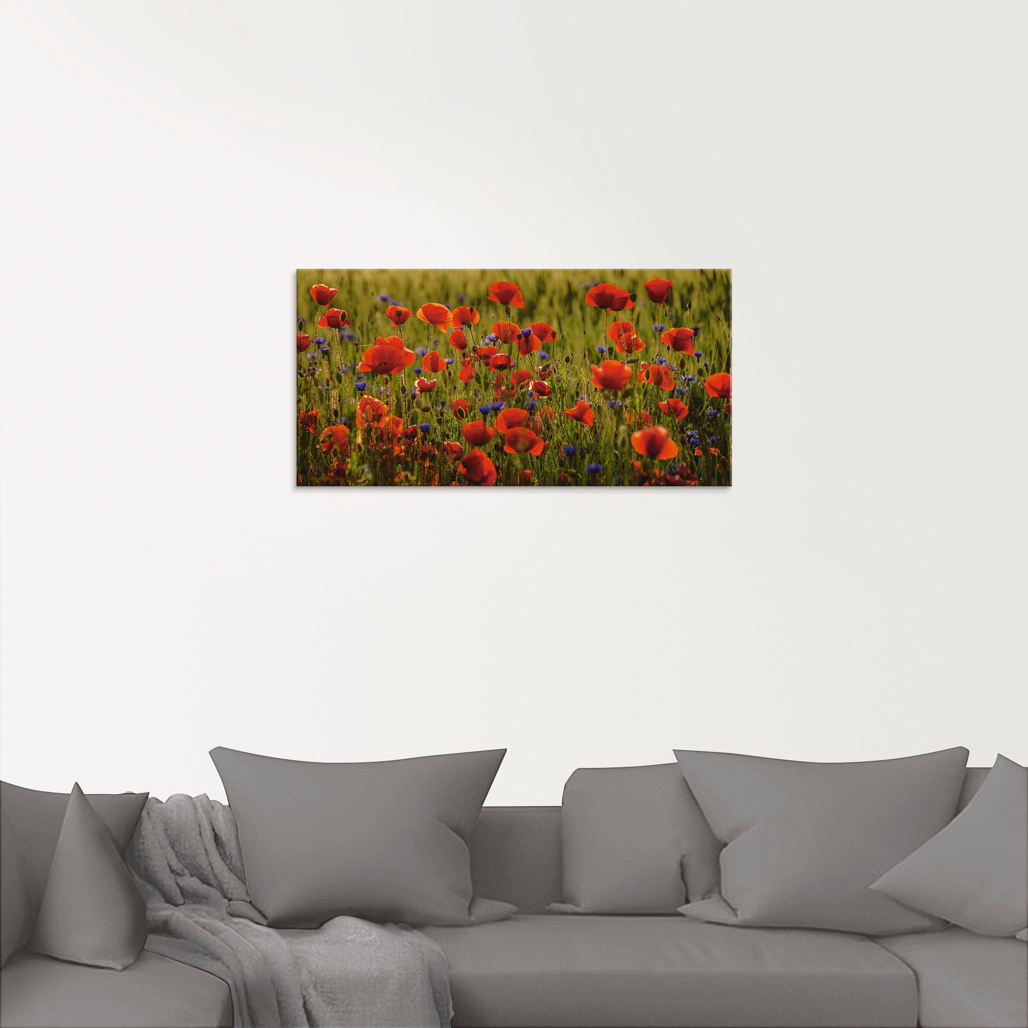 Artland Glasbild »Sommermohn«, Blumen, (1 St.), in verschiedenen Größen