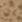 beige beige